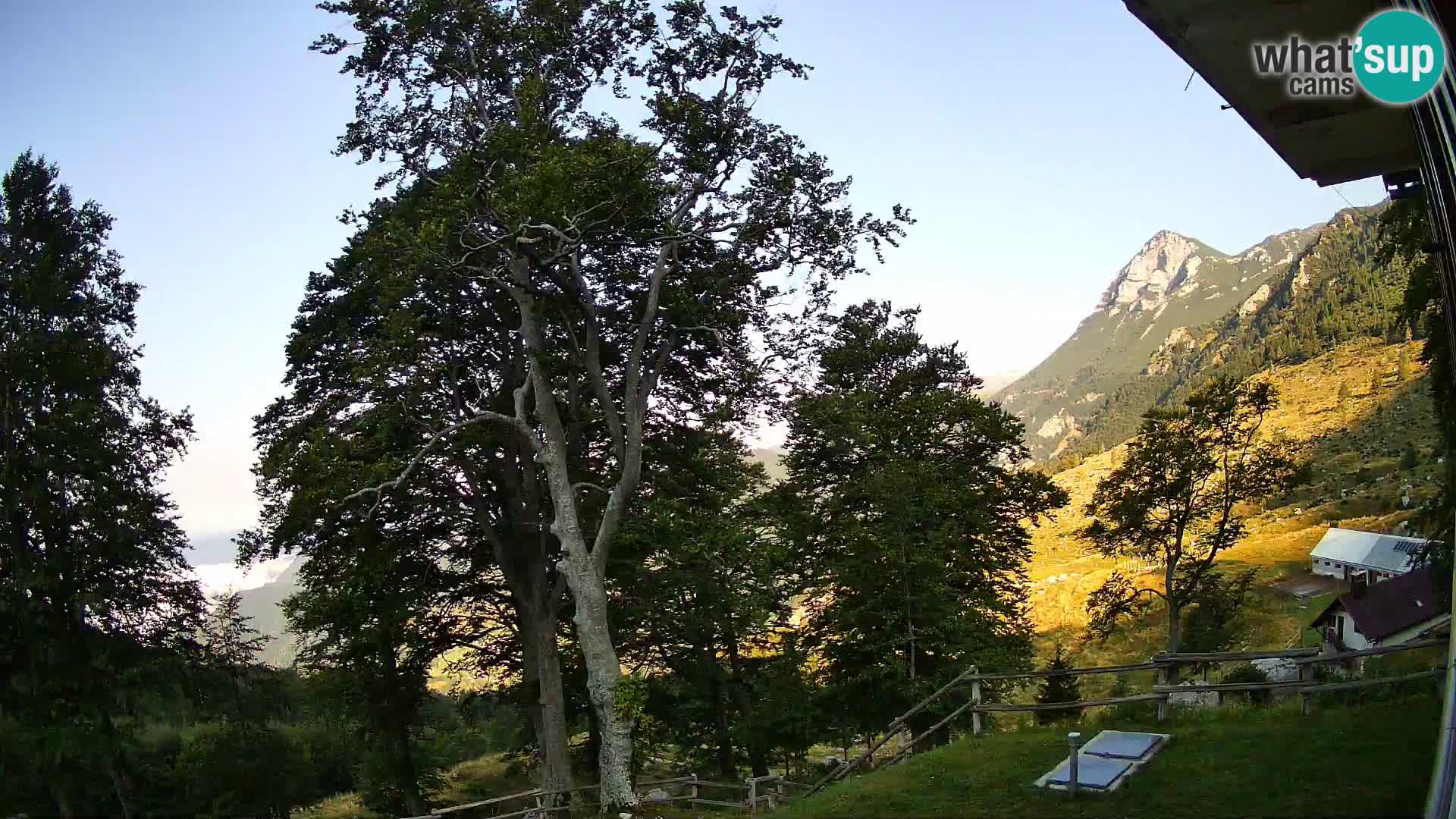 Baita di montagna Planina Razor webcam (1315) | vista su Tolminski Migovec