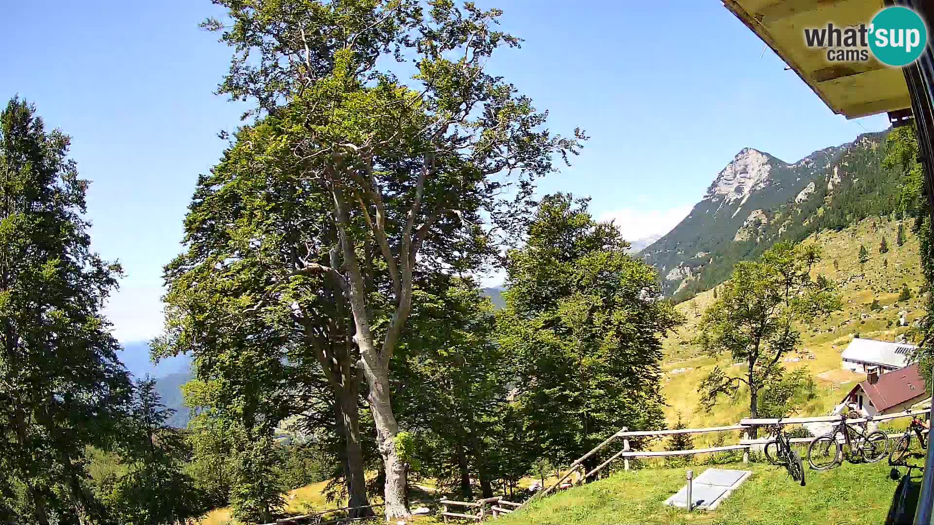 Planina Razor Bergütte Webcam (1315) | Blick auf Tolminski Migovec