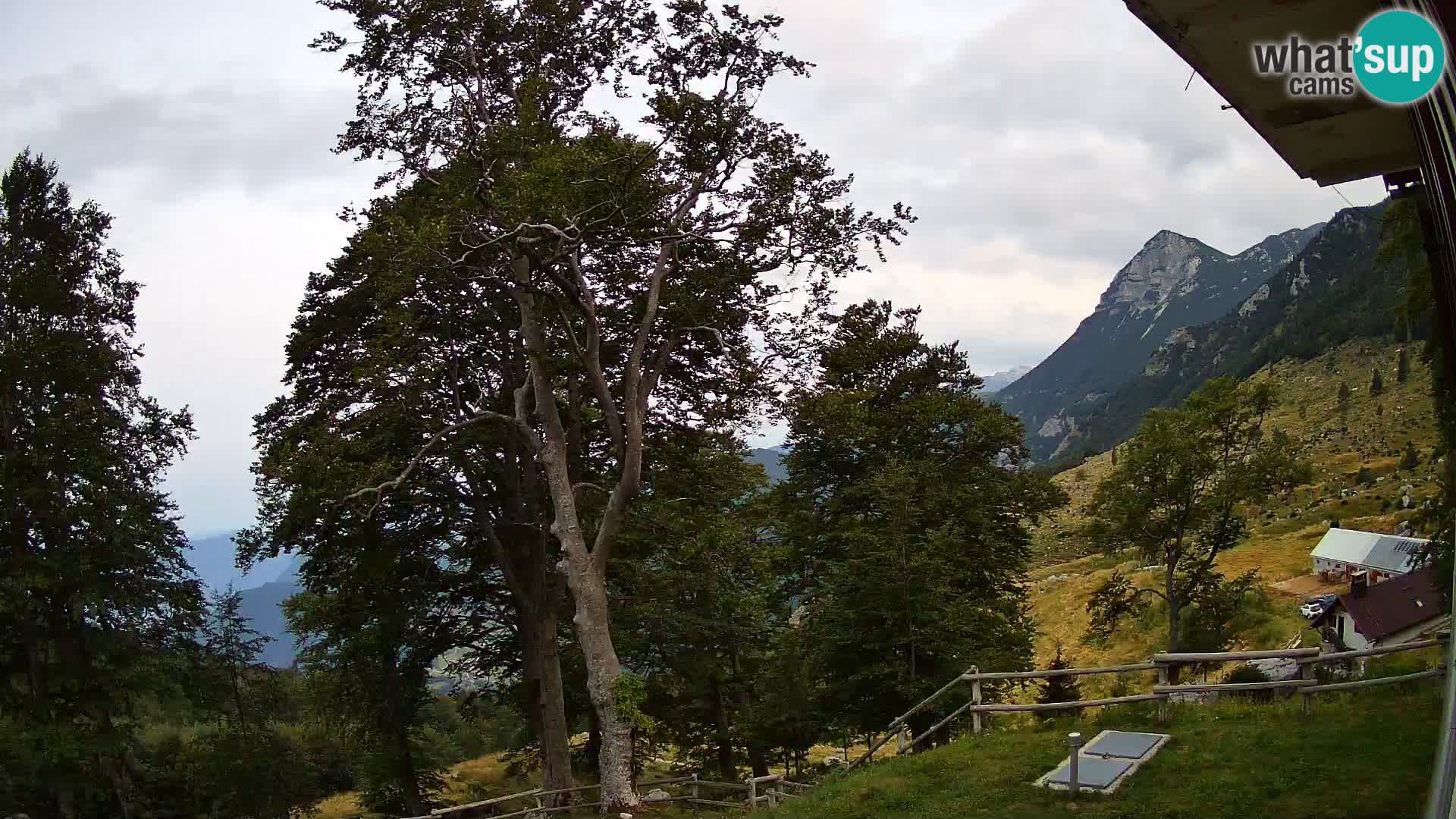 Planina Razor Bergütte Webcam (1315) | Blick auf Tolminski Migovec