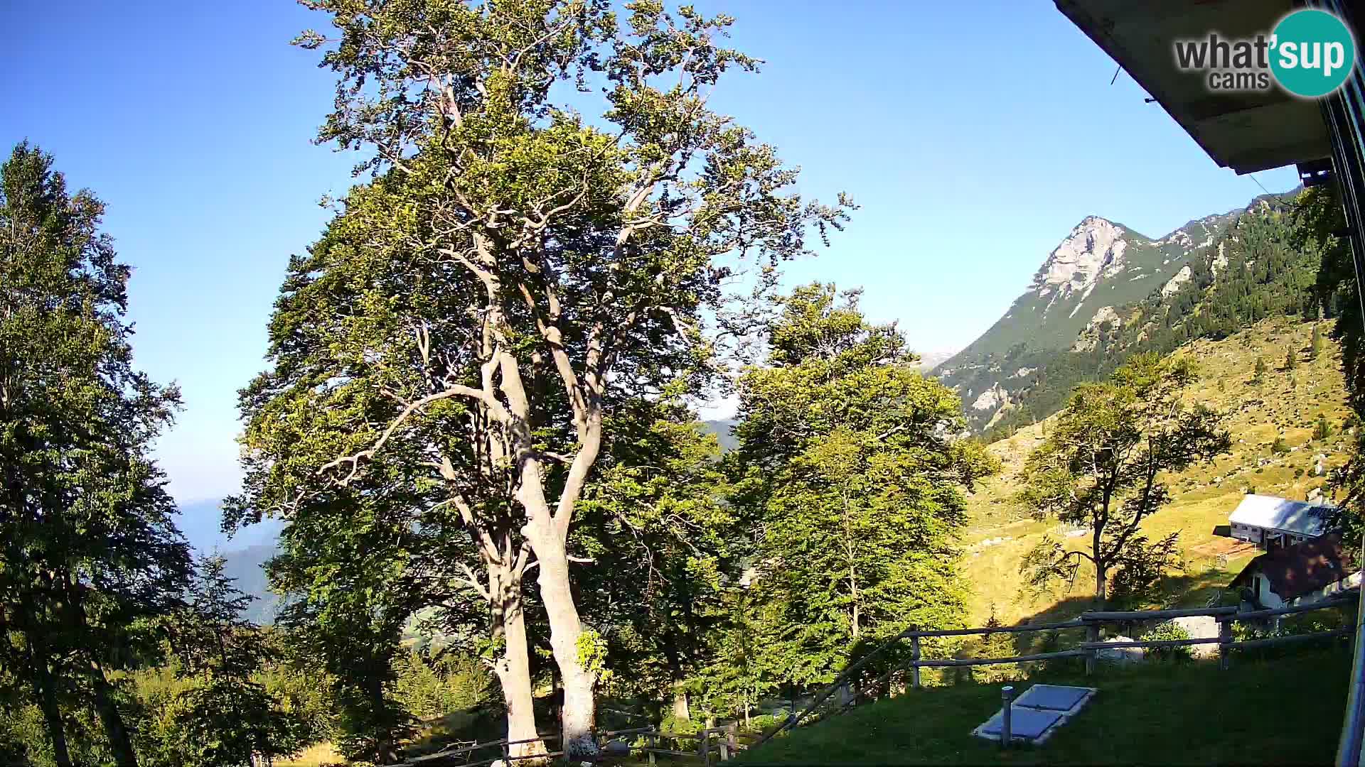 Planina Razor Bergütte Webcam (1315) | Blick auf Tolminski Migovec