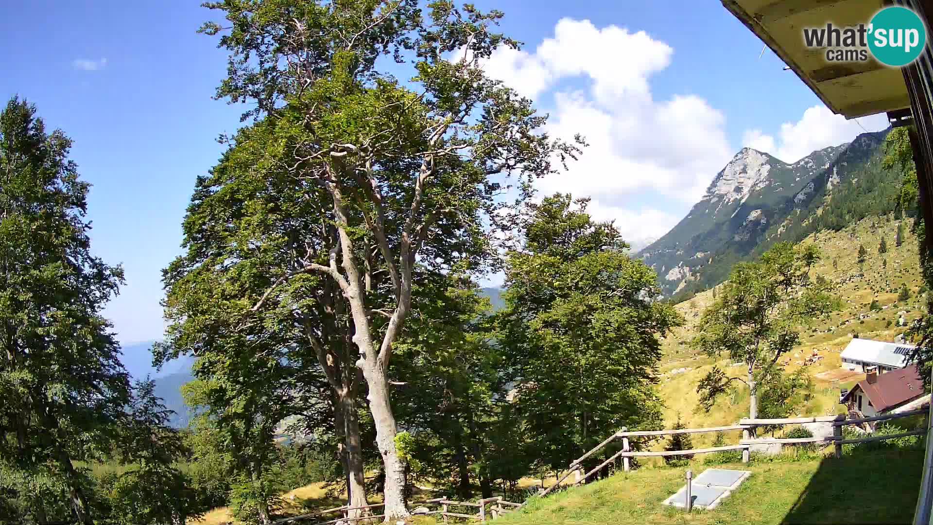 Refuge de la montagne Planina Razor caméra en direct (1315) | vue sur Tolminski Migovec