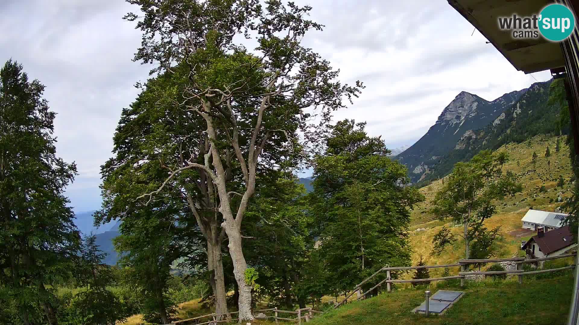 Planina Razor Mountain Hut live cam (1315) | view to Tolminski Migovec