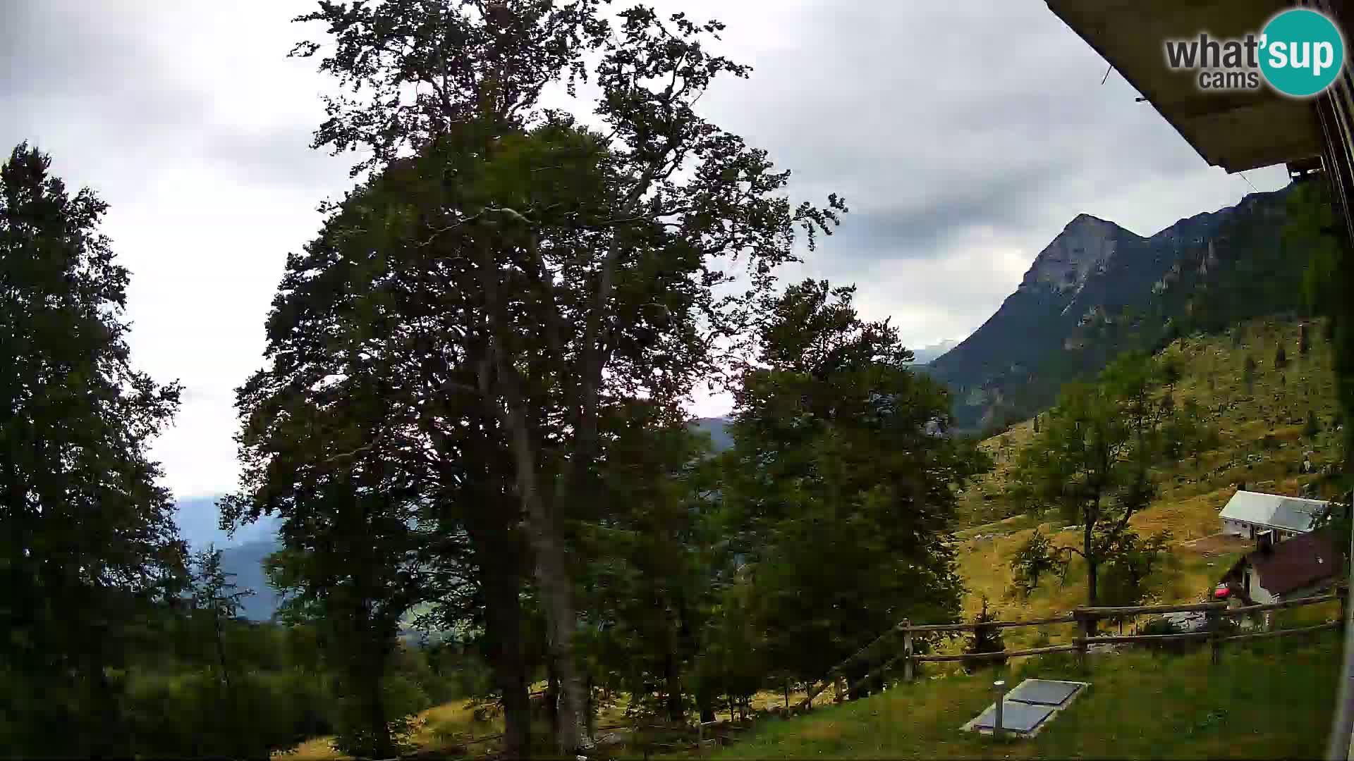 Planina Razor Bergütte Webcam (1315) | Blick auf Tolminski Migovec