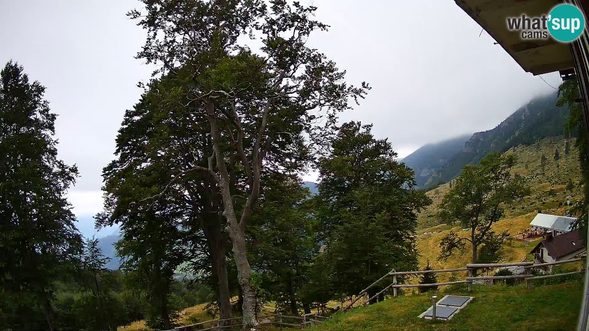 Refuge de la montagne Planina Razor caméra en direct (1315) | vue sur Tolminski Migovec