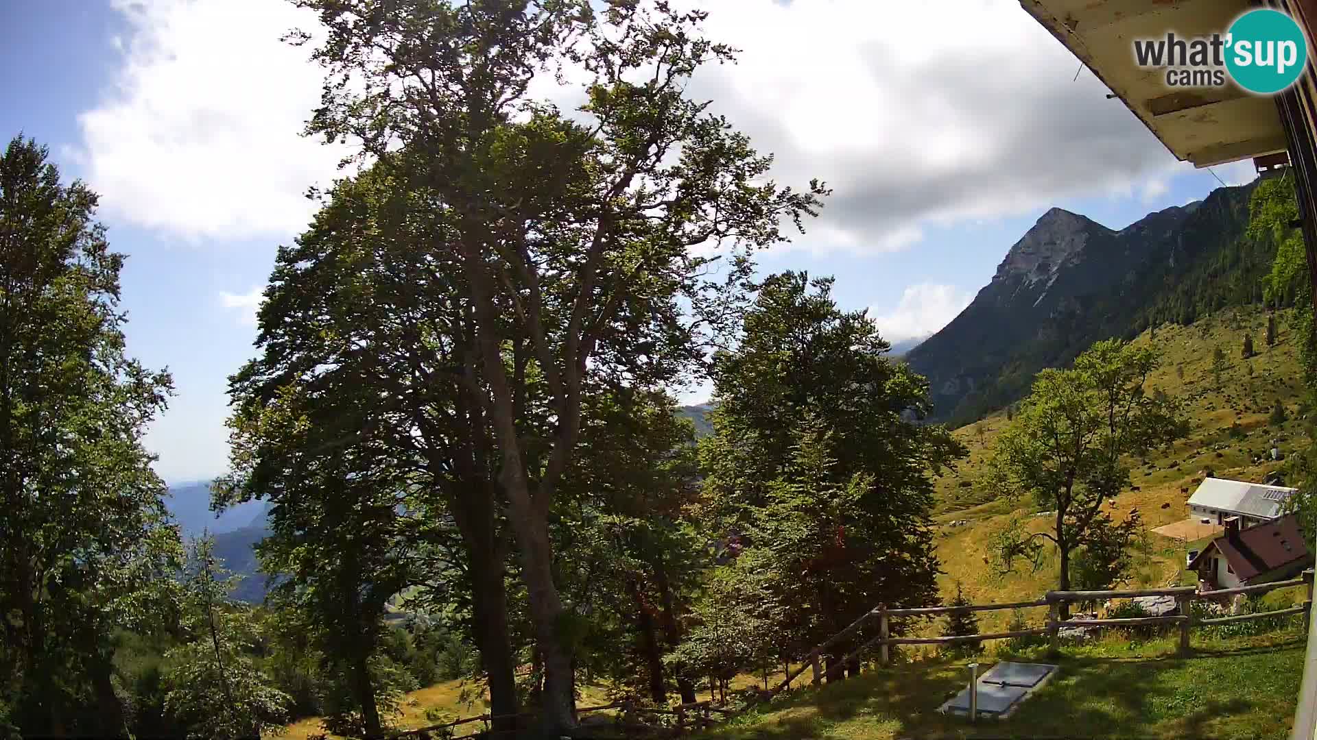 Planina Razor Mountain Hut live cam (1315) | view to Tolminski Migovec