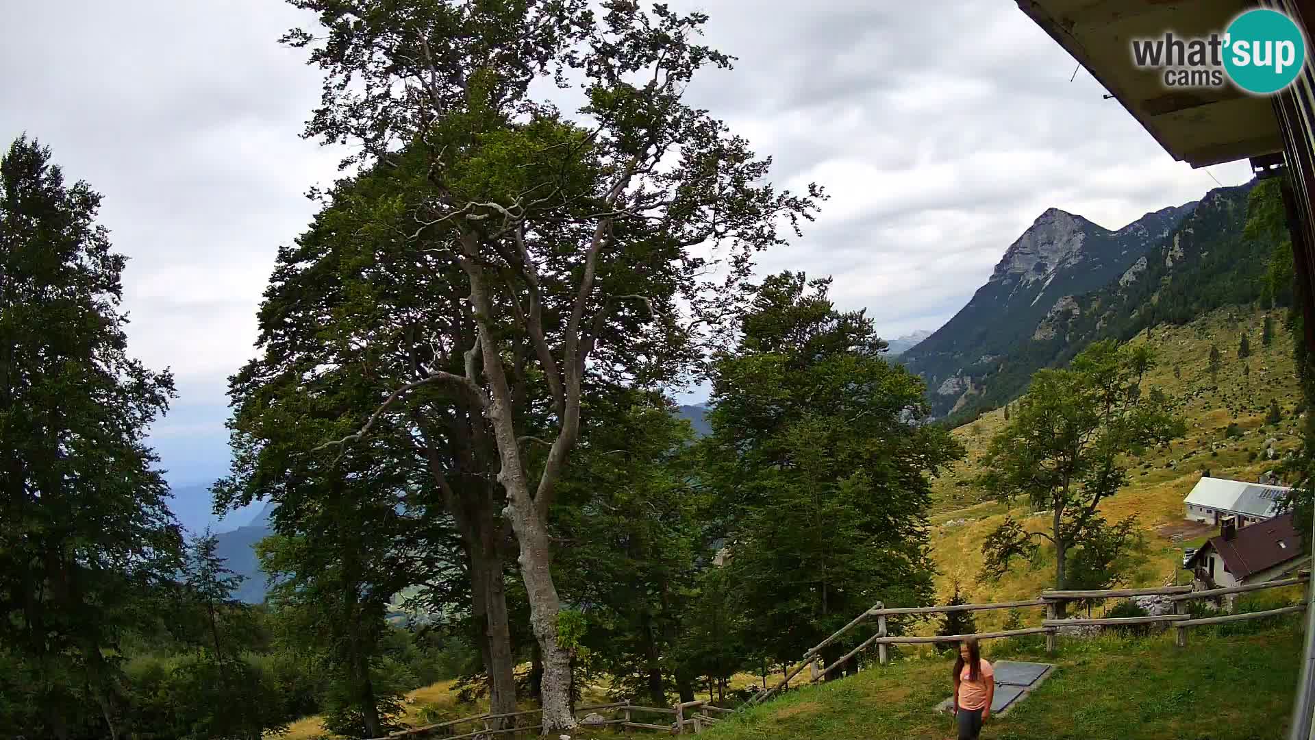 Planina Razor Mountain Hut live cam (1315) | view to Tolminski Migovec