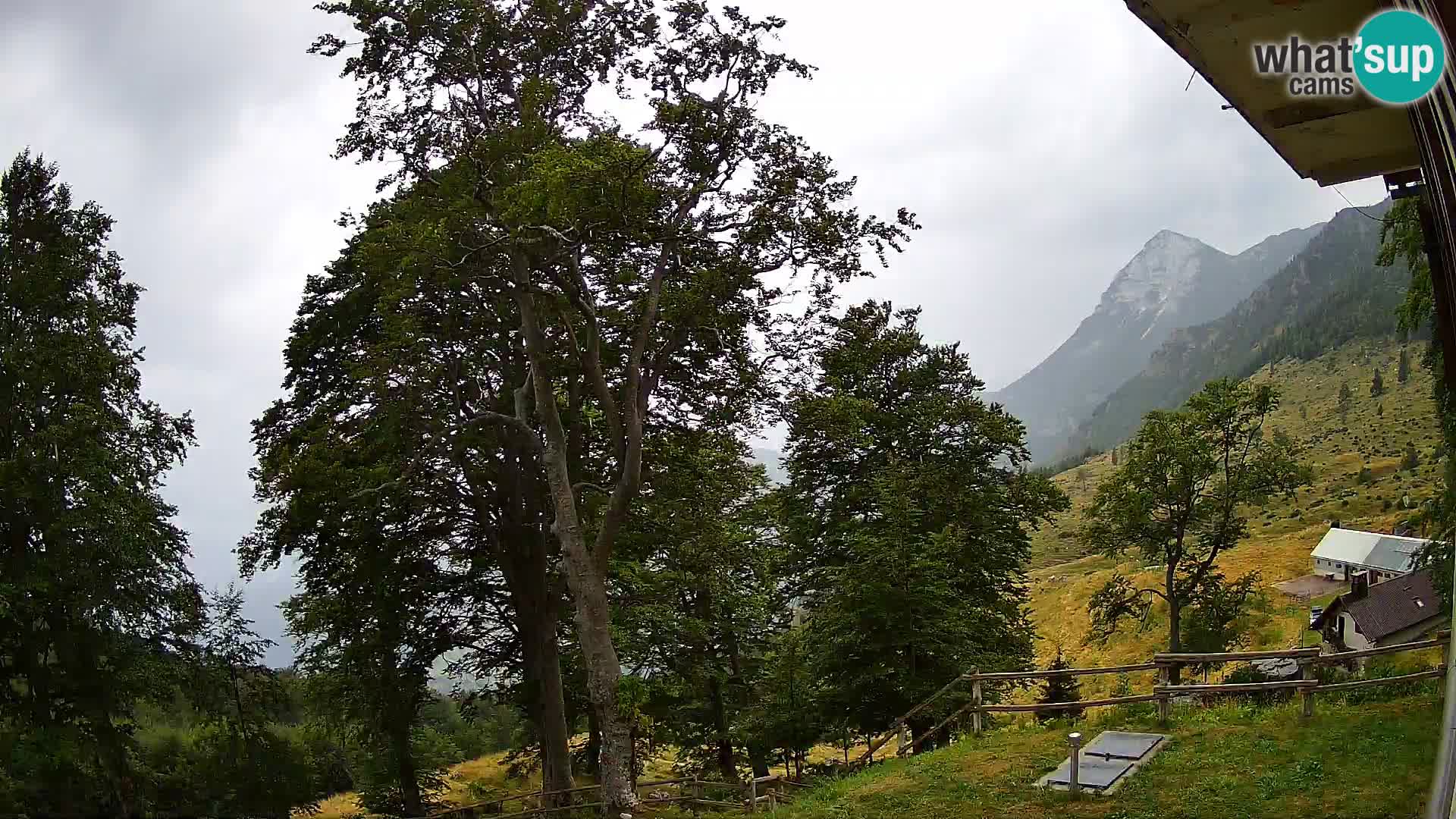 Planina Razor Mountain Hut live cam (1315) | view to Tolminski Migovec