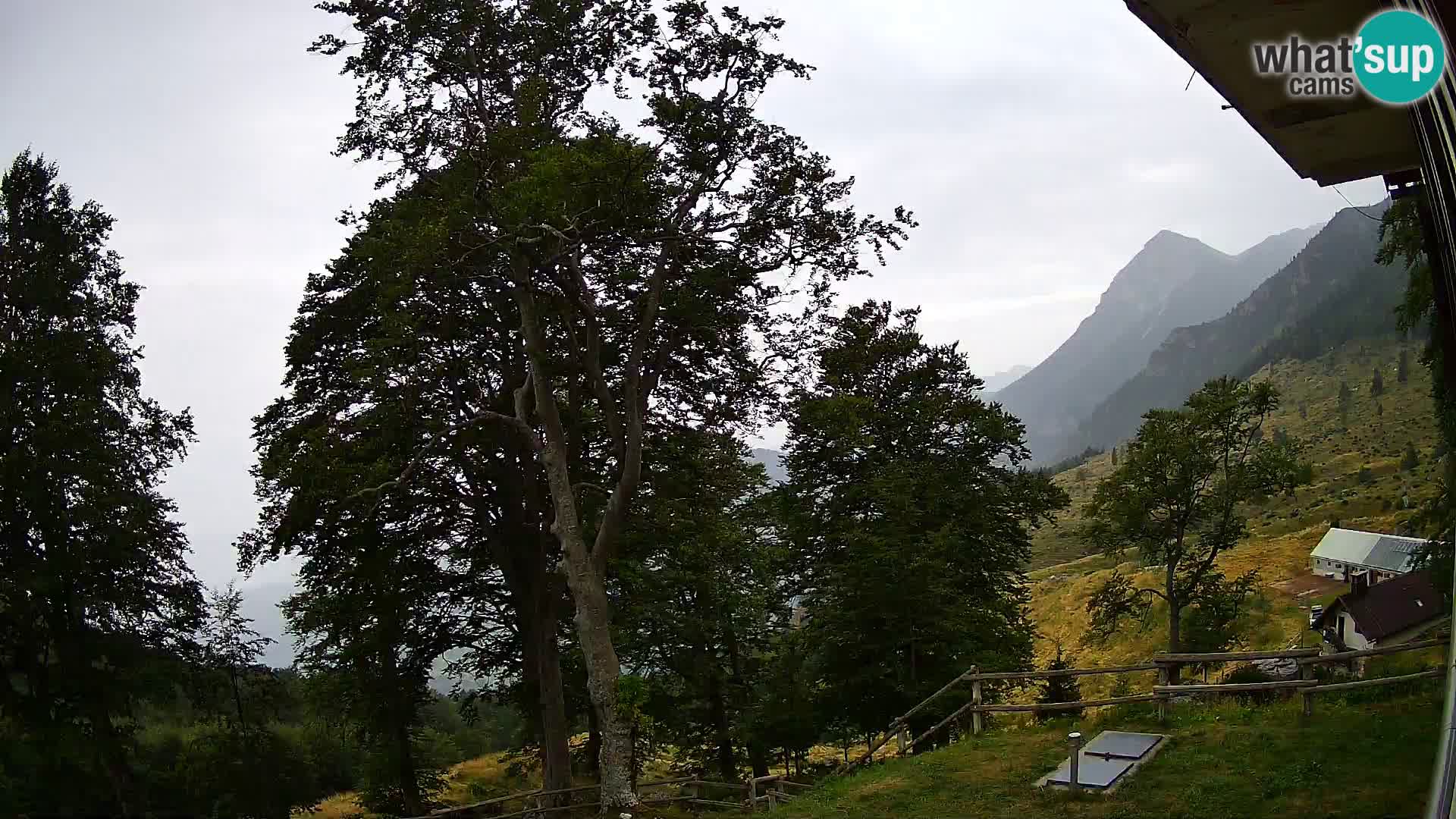 Planina Razor Mountain Hut live cam (1315) | view to Tolminski Migovec