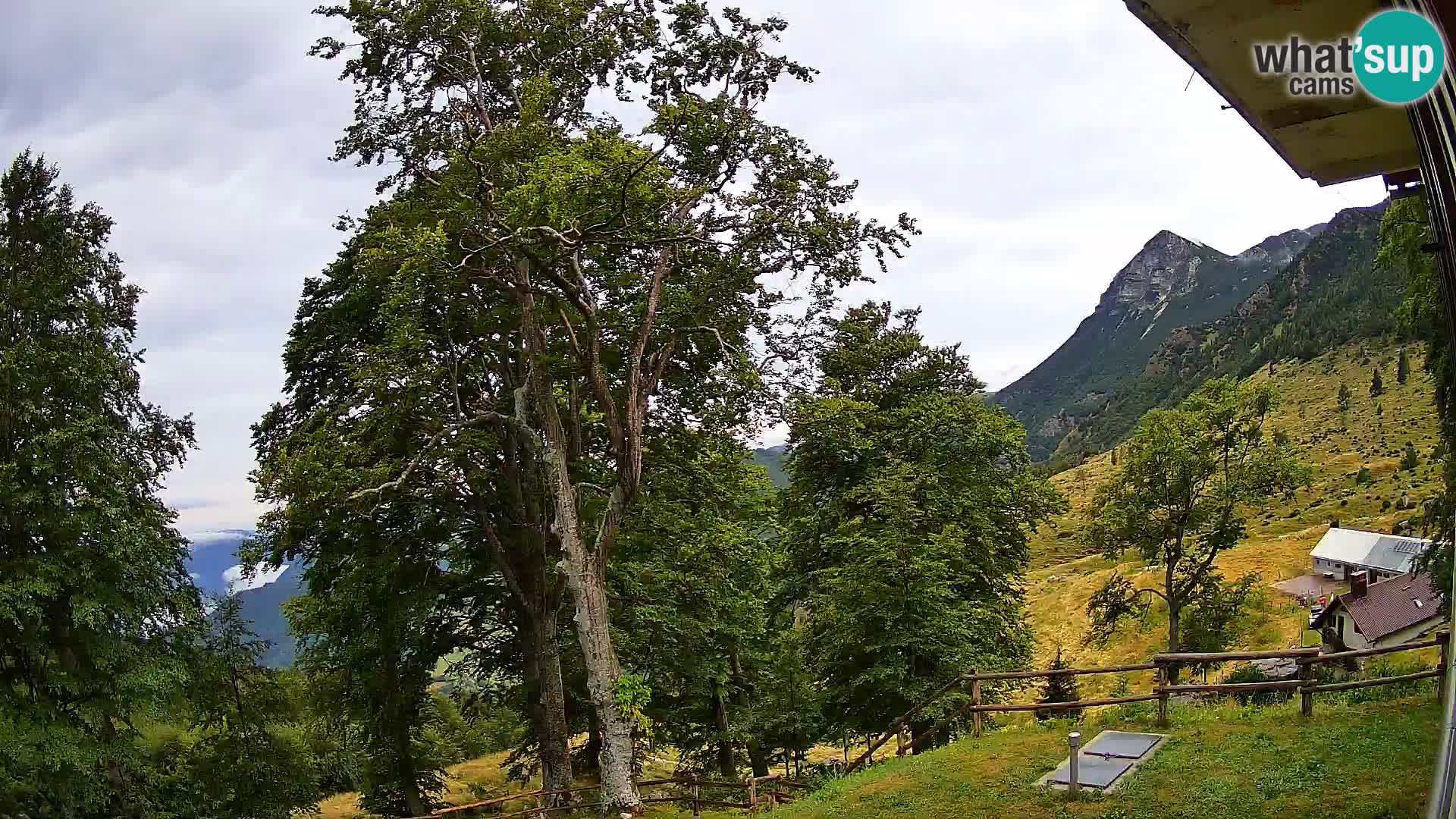Refuge de la montagne Planina Razor caméra en direct (1315) | vue sur Tolminski Migovec