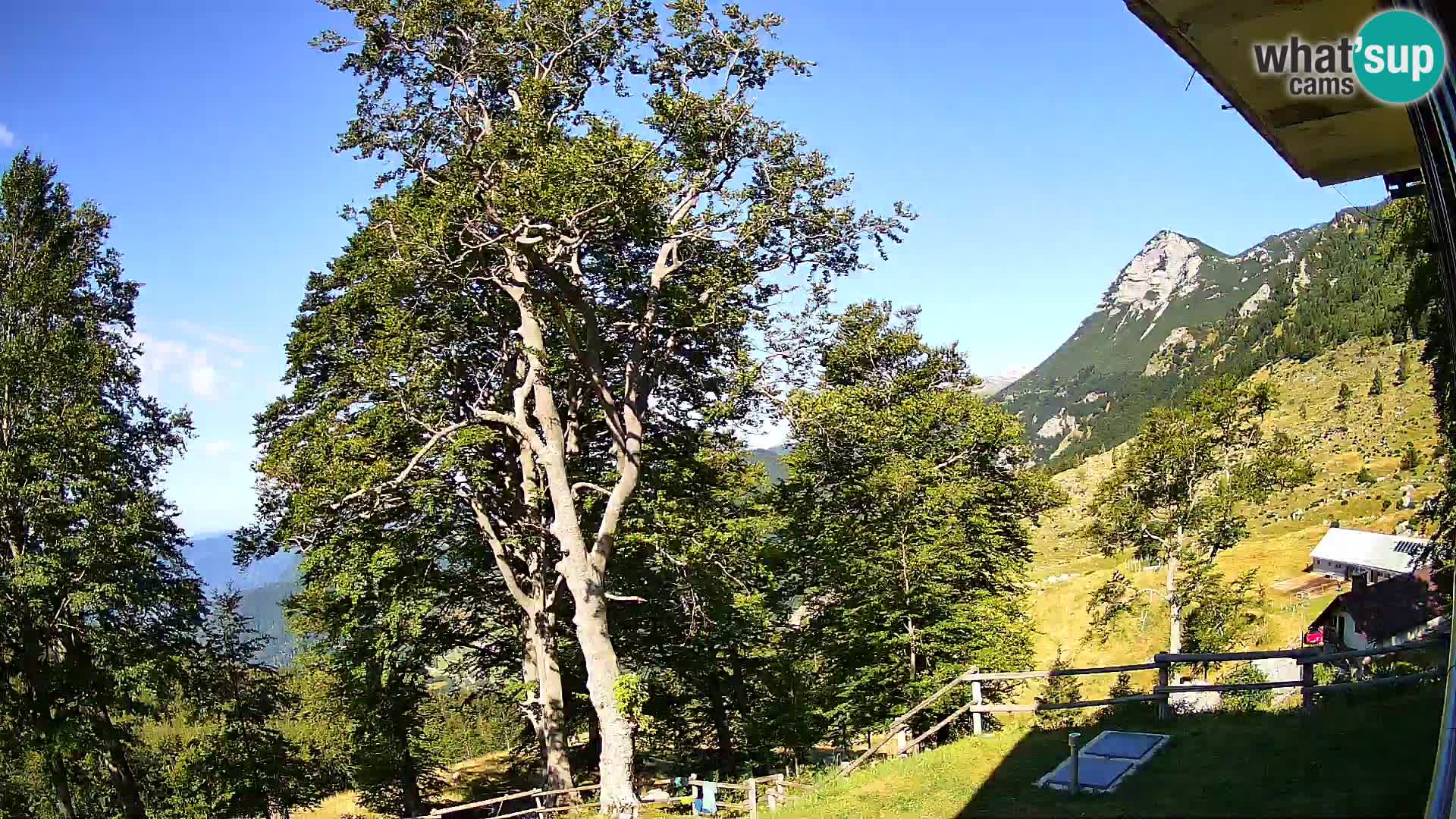 Baita di montagna Planina Razor webcam (1315) | vista su Tolminski Migovec