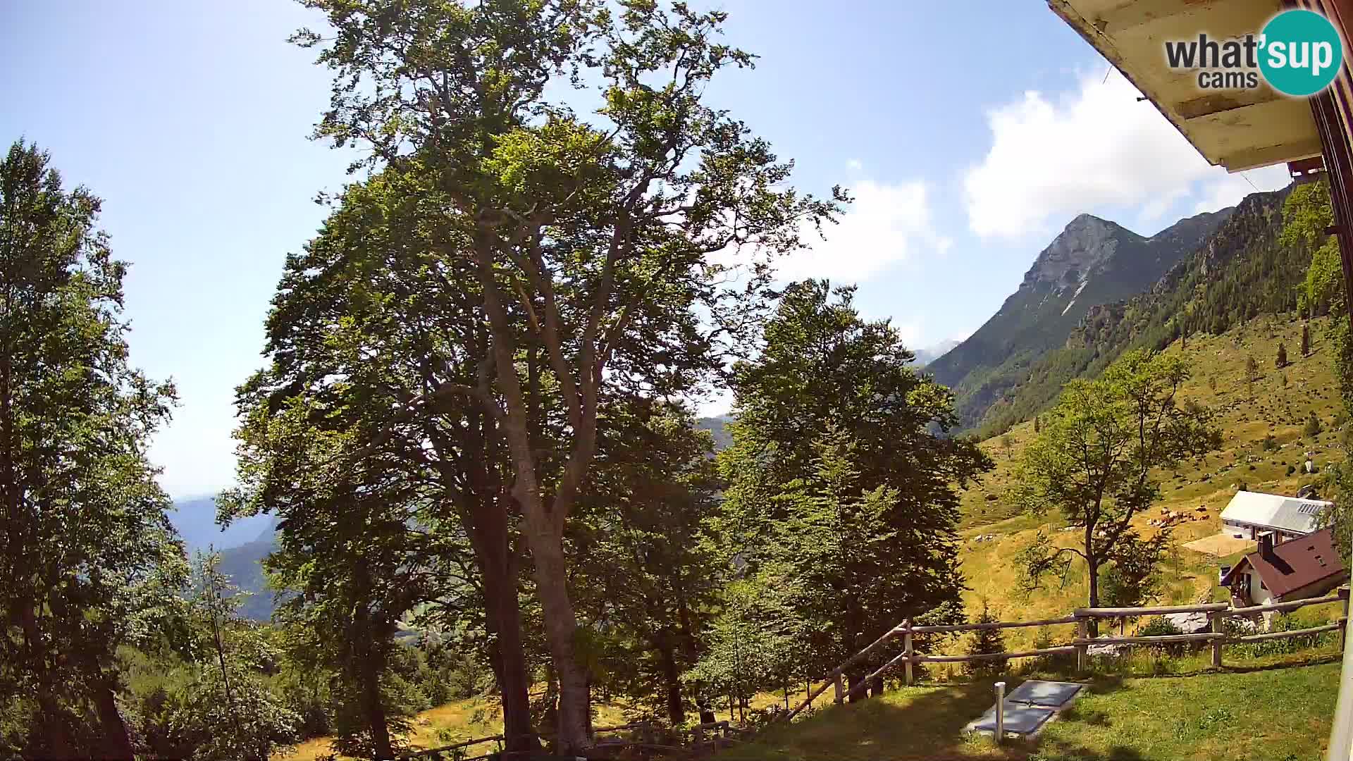 Planina Razor Bergütte Webcam (1315) | Blick auf Tolminski Migovec