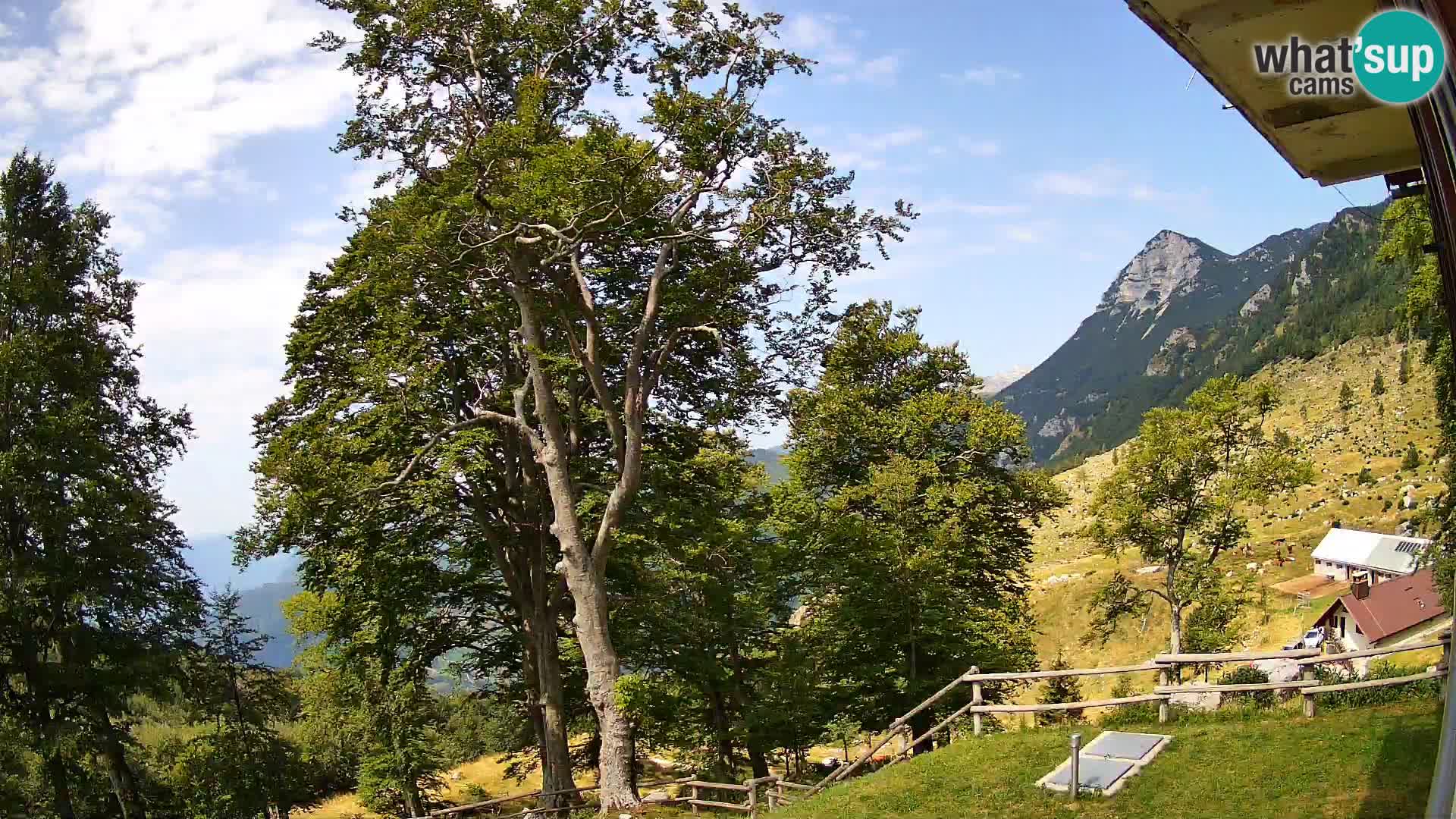 Planina Razor Bergütte Webcam (1315) | Blick auf Tolminski Migovec