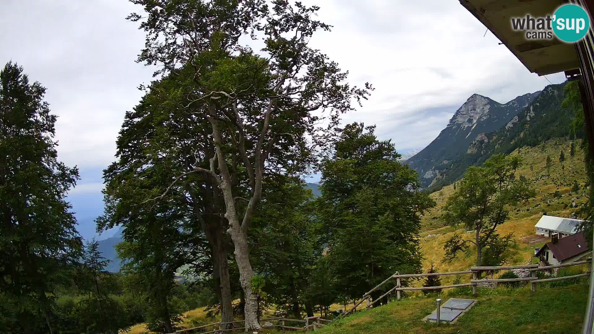 Baita di montagna Planina Razor webcam (1315) | vista su Tolminski Migovec