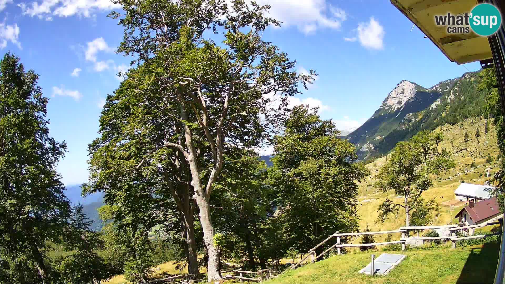 Planina Razor Bergütte Webcam (1315) | Blick auf Tolminski Migovec