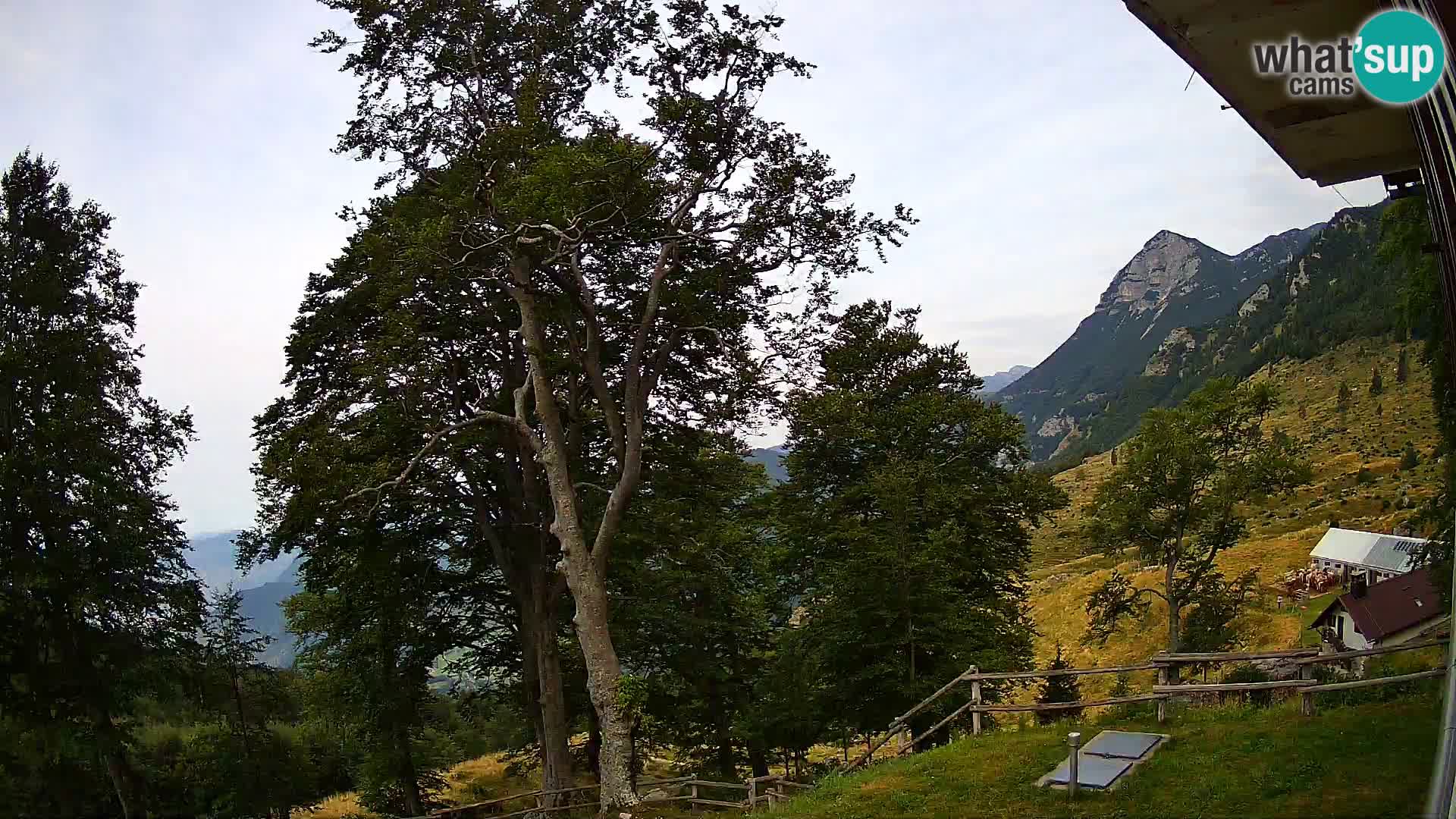 Baita di montagna Planina Razor webcam (1315) | vista su Tolminski Migovec