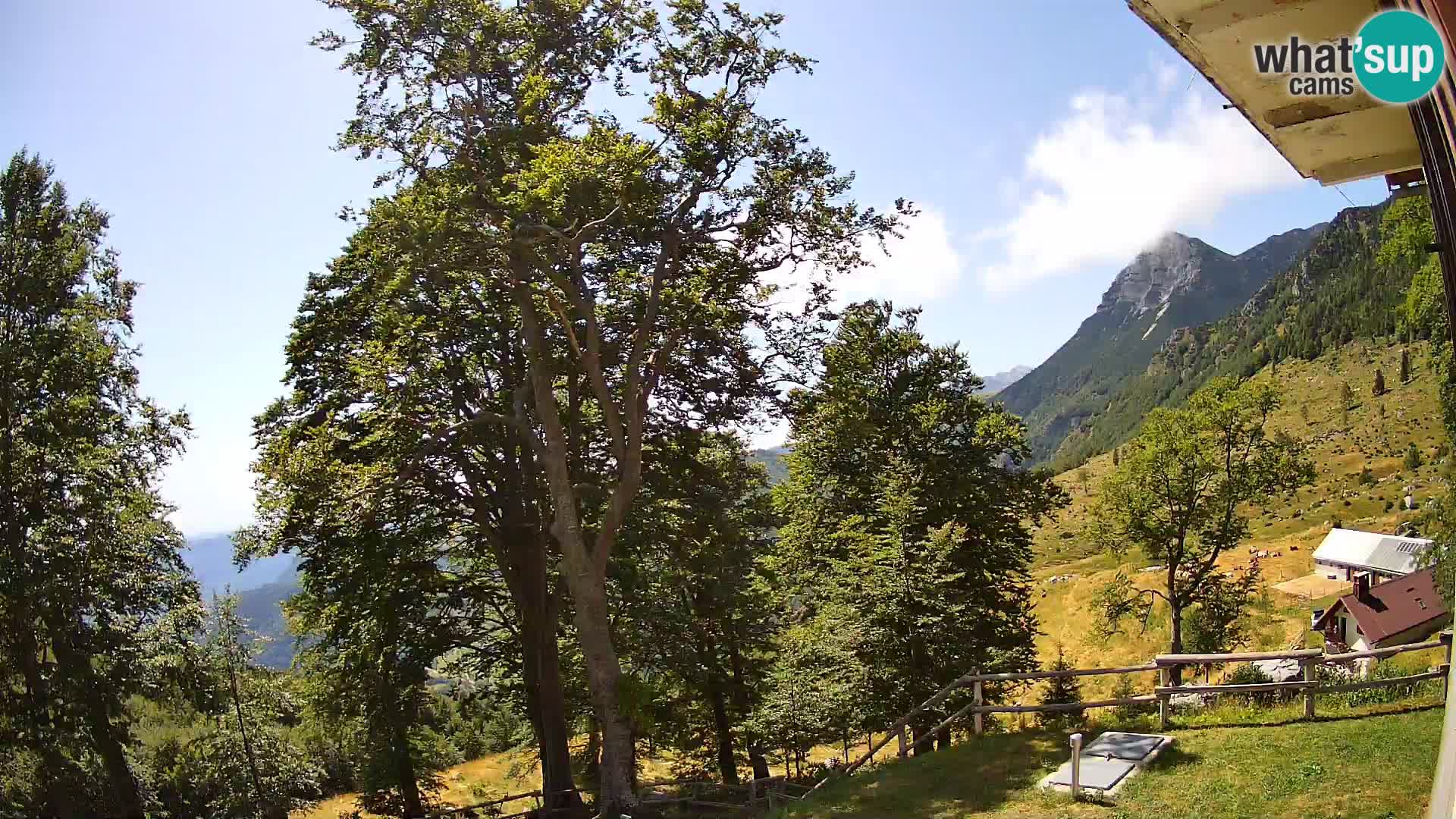 Planina Razor Bergütte Webcam (1315) | Blick auf Tolminski Migovec