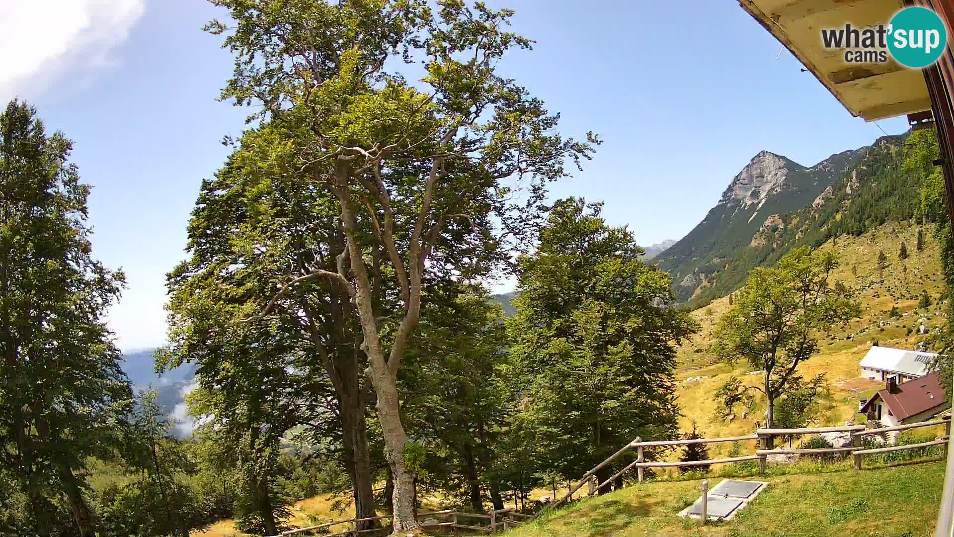 Baita di montagna Planina Razor webcam (1315) | vista su Tolminski Migovec