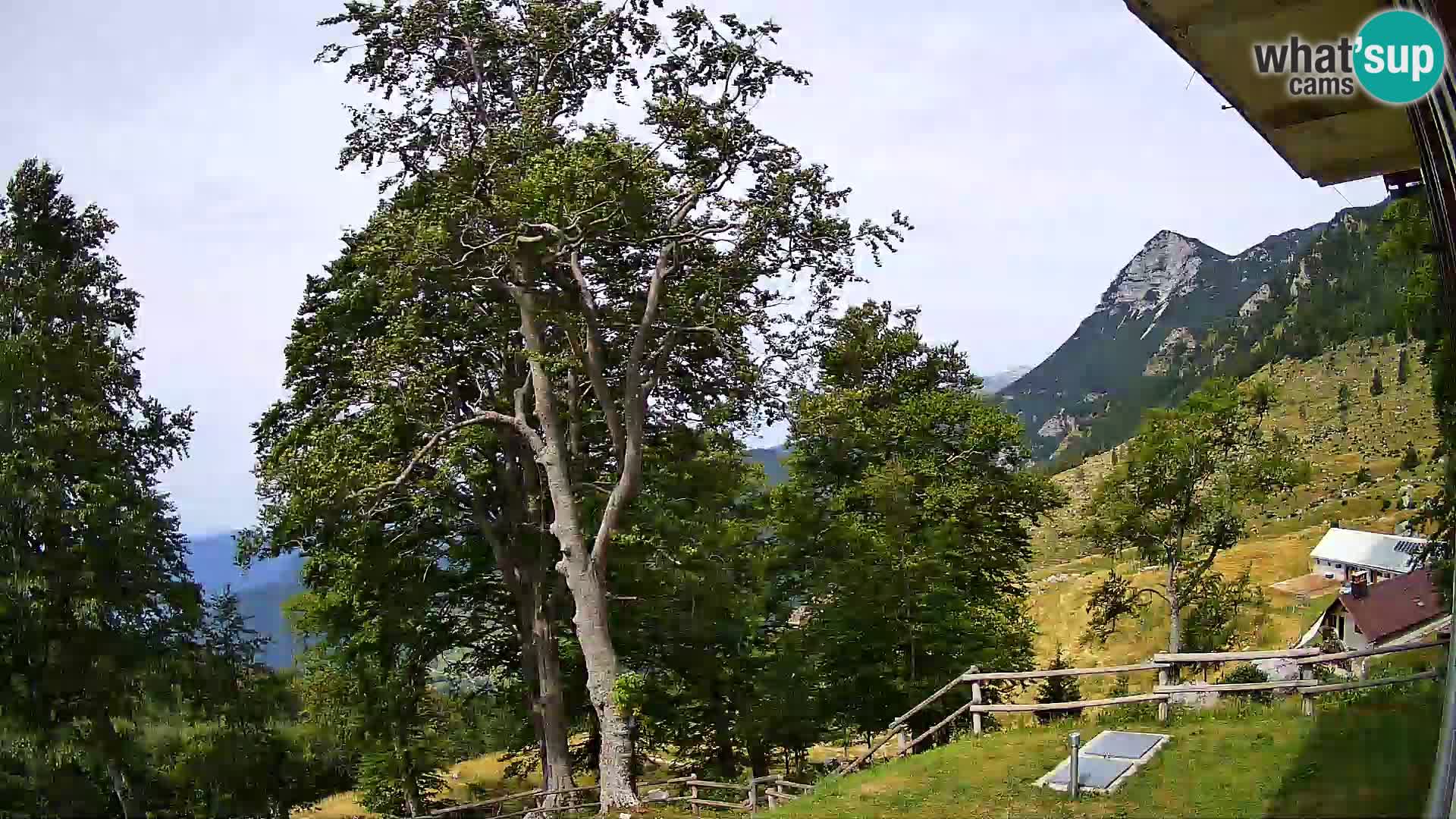 Cámara en vivo de la cabaña de montaña Planina Razor (1315) | vista hacia Tolminski Migovec