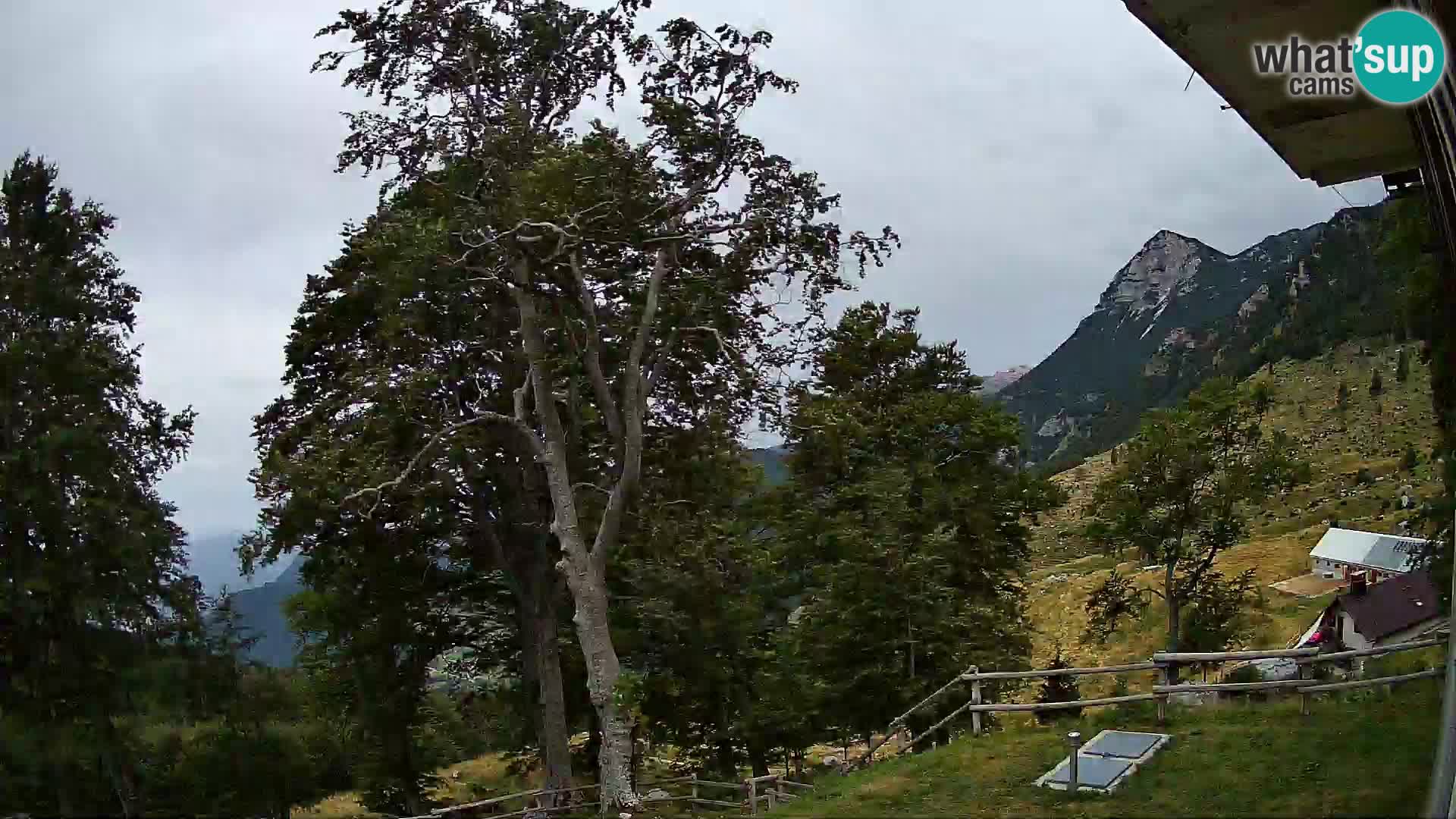 Cámara en vivo de la cabaña de montaña Planina Razor (1315) | vista hacia Tolminski Migovec