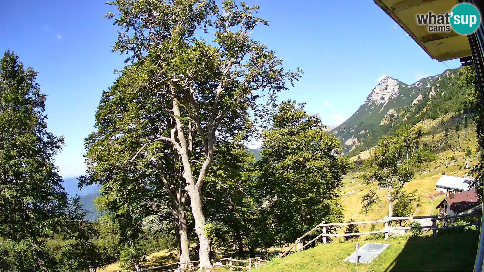 Baita di montagna Planina Razor webcam (1315) | vista su Tolminski Migovec