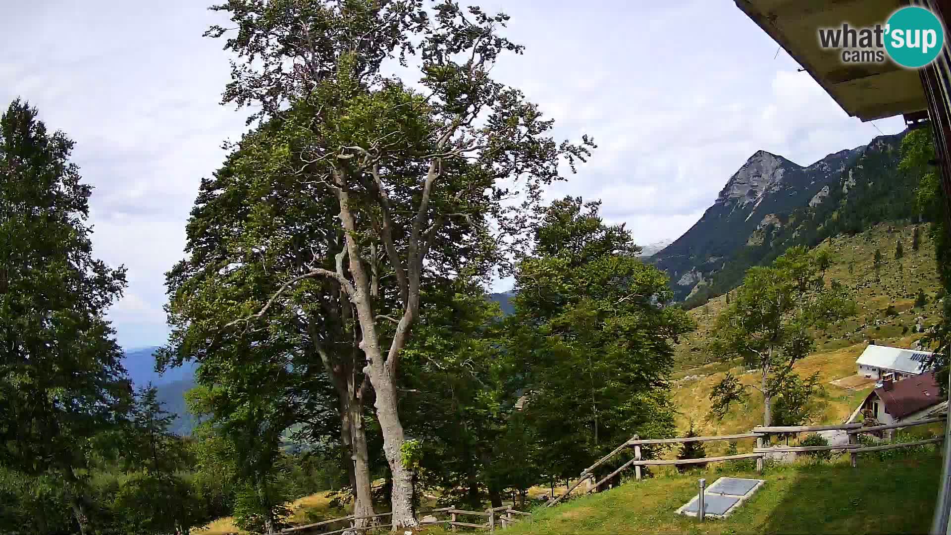 Koča na Planini Razor spletna kamera (1315) | Pogled na Tolminski Migovec