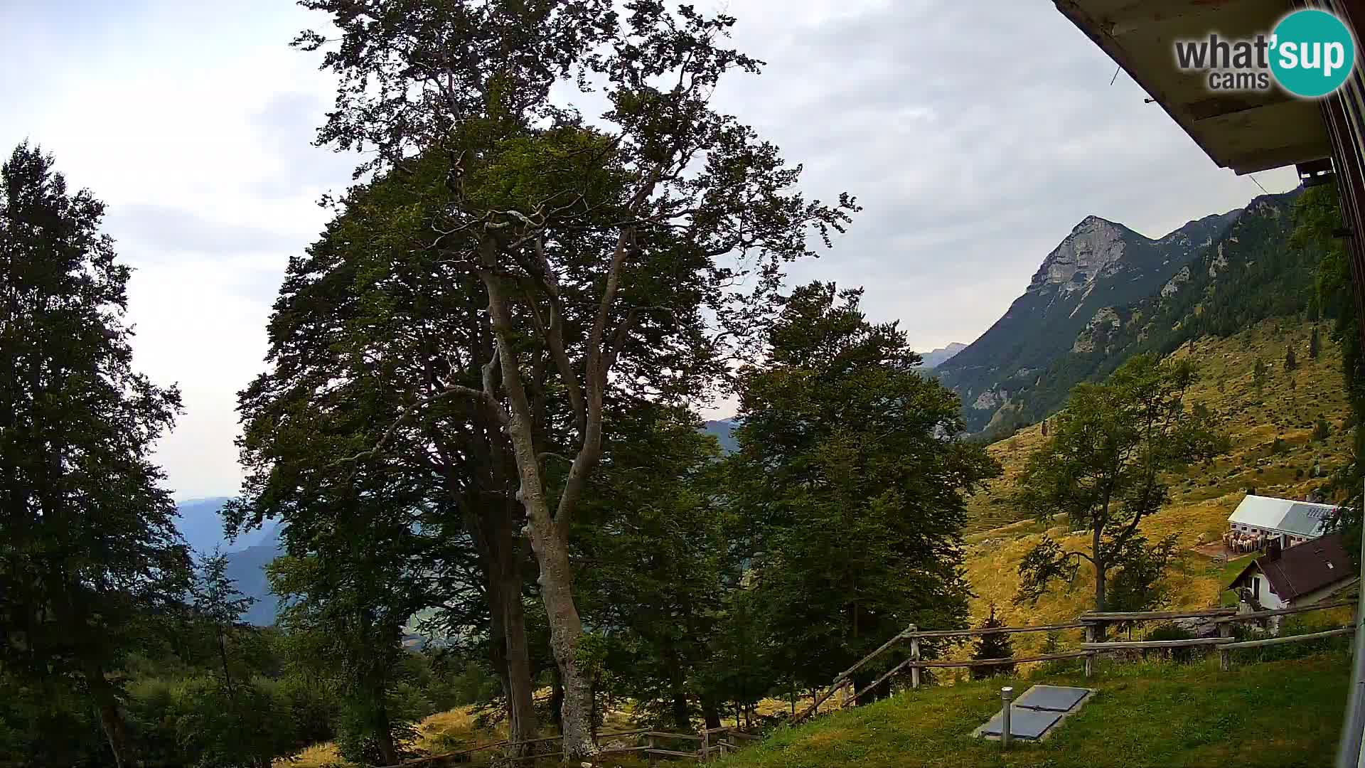 Planina Razor Mountain Hut live cam (1315) | view to Tolminski Migovec