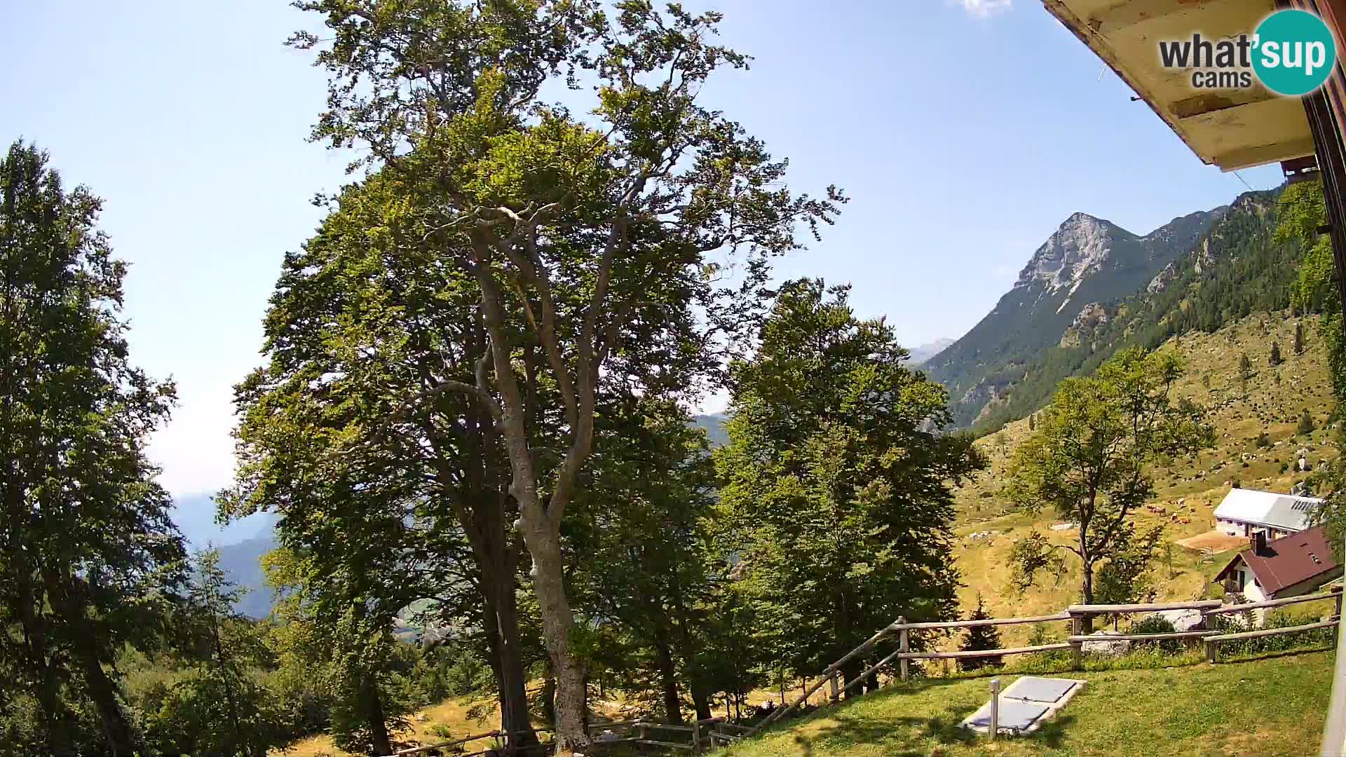 Planinarski dom na planini Razor (1315) | Pogled na Tolminski Migovec