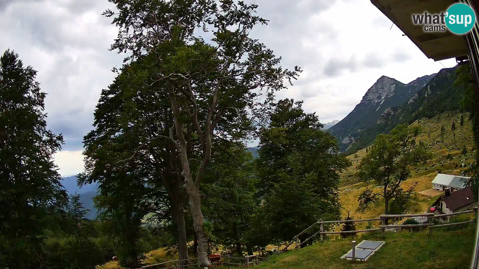 Cámara en vivo de la cabaña de montaña Planina Razor (1315) | vista hacia Tolminski Migovec