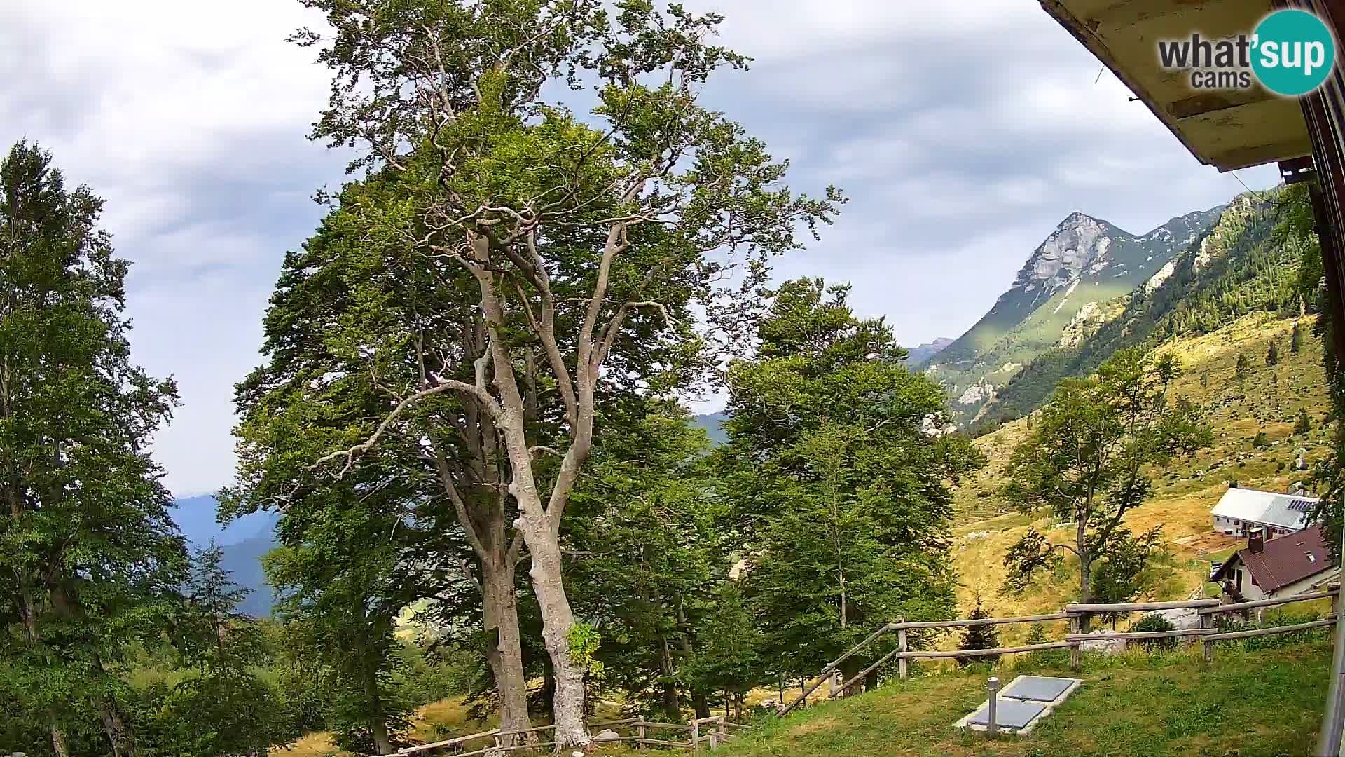 Planina Razor Bergütte Webcam (1315) | Blick auf Tolminski Migovec