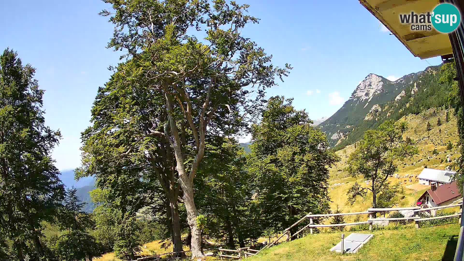 Planina Razor Bergütte Webcam (1315) | Blick auf Tolminski Migovec
