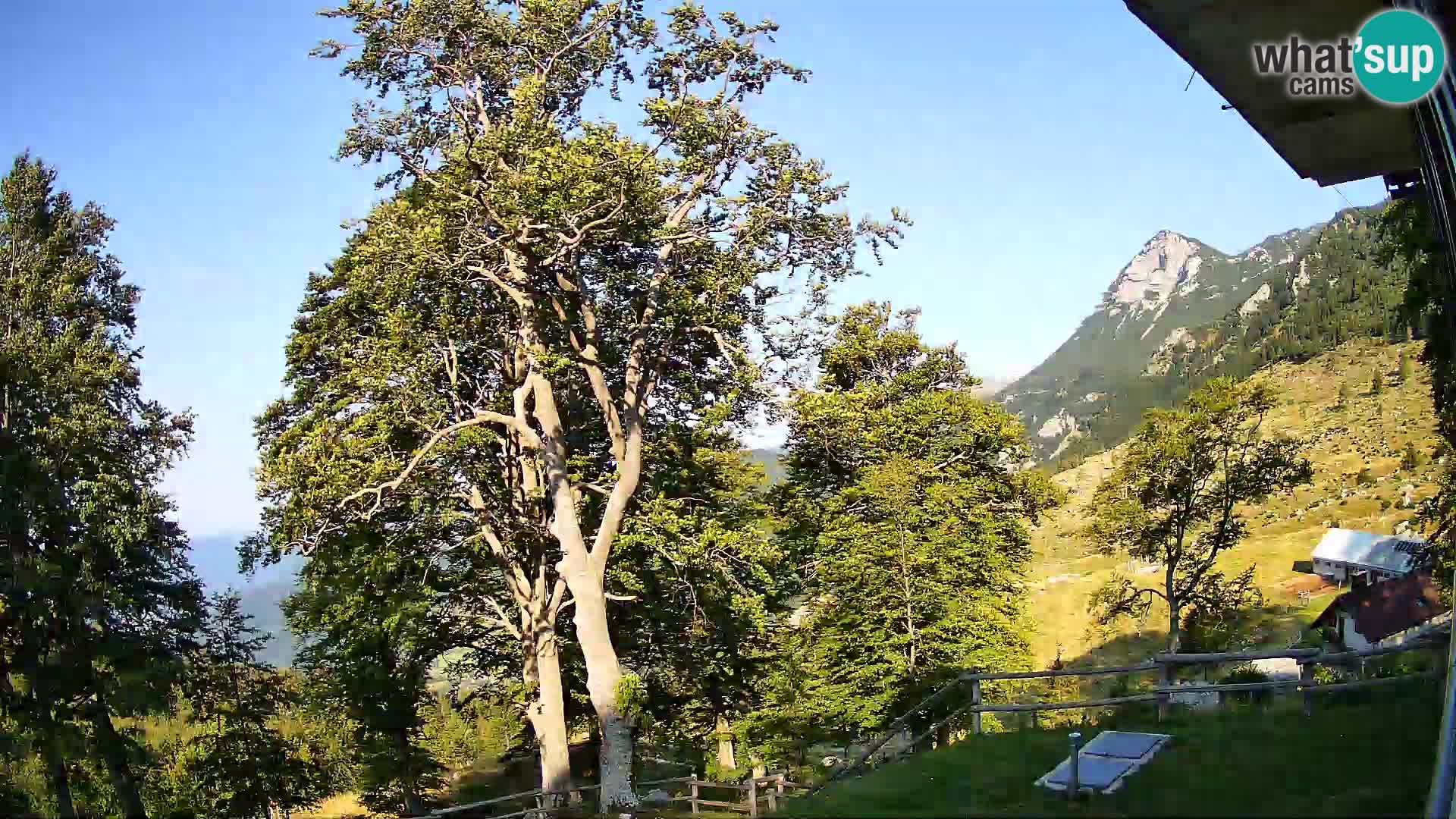 Cámara en vivo de la cabaña de montaña Planina Razor (1315) | vista hacia Tolminski Migovec