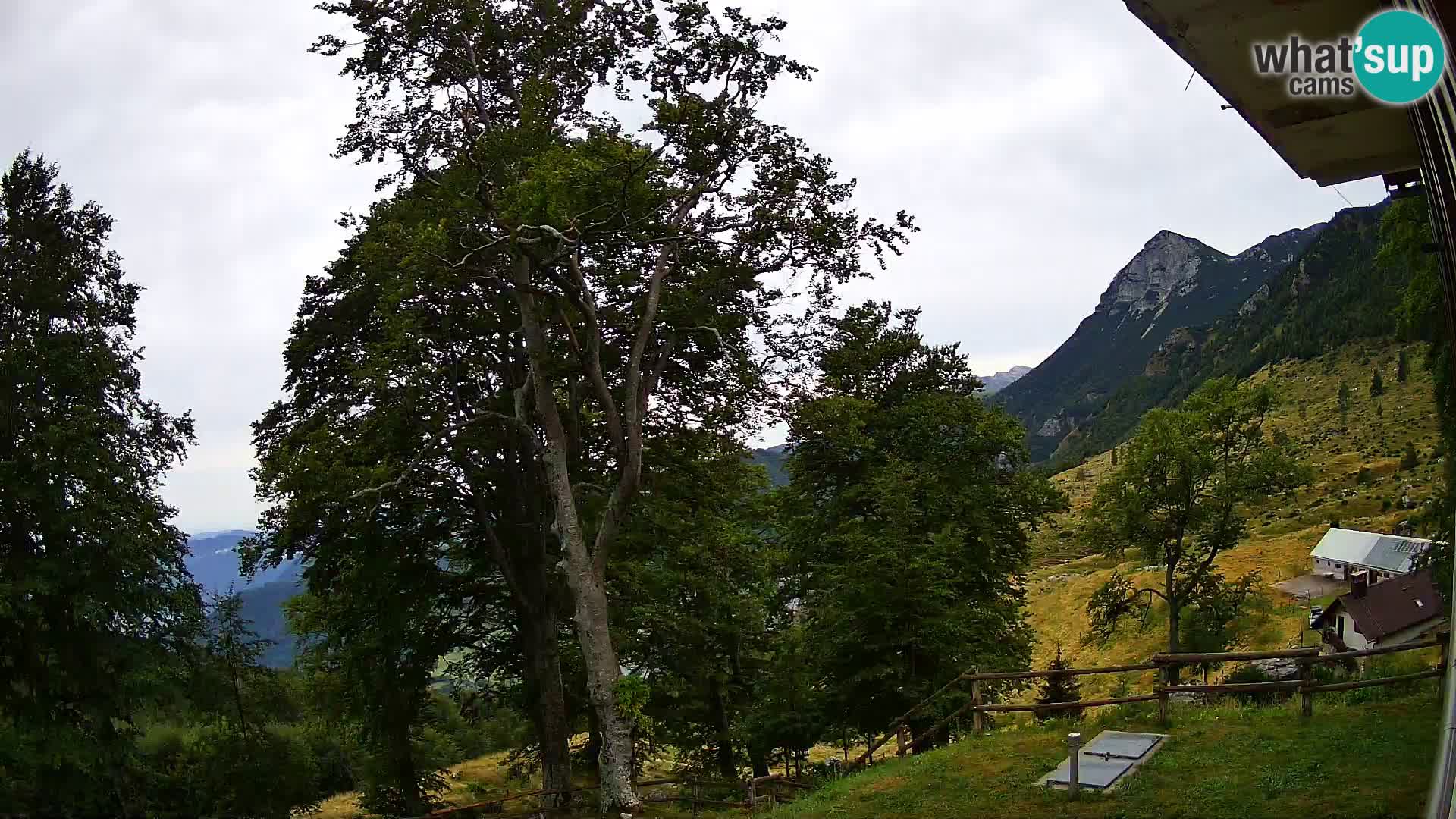 Refuge de la montagne Planina Razor caméra en direct (1315) | vue sur Tolminski Migovec