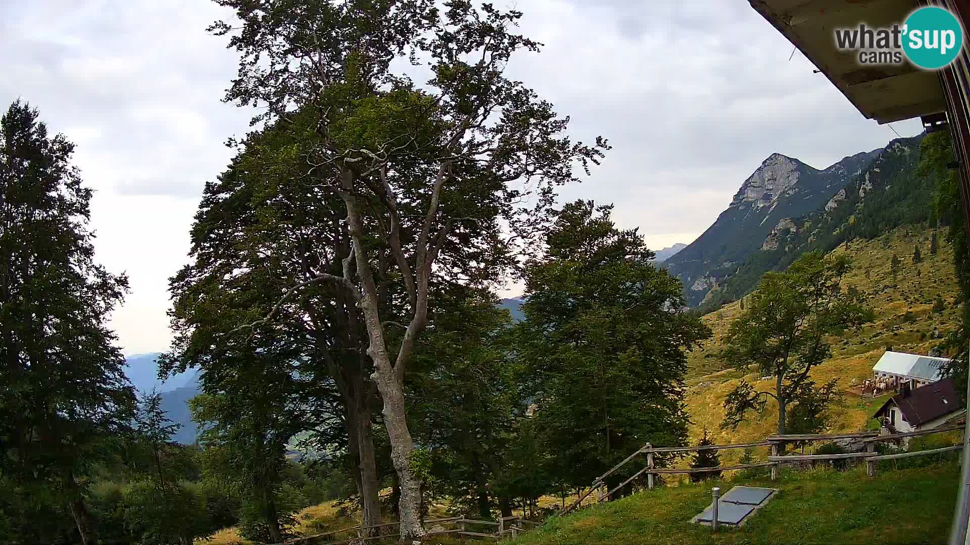 Baita di montagna Planina Razor webcam (1315) | vista su Tolminski Migovec