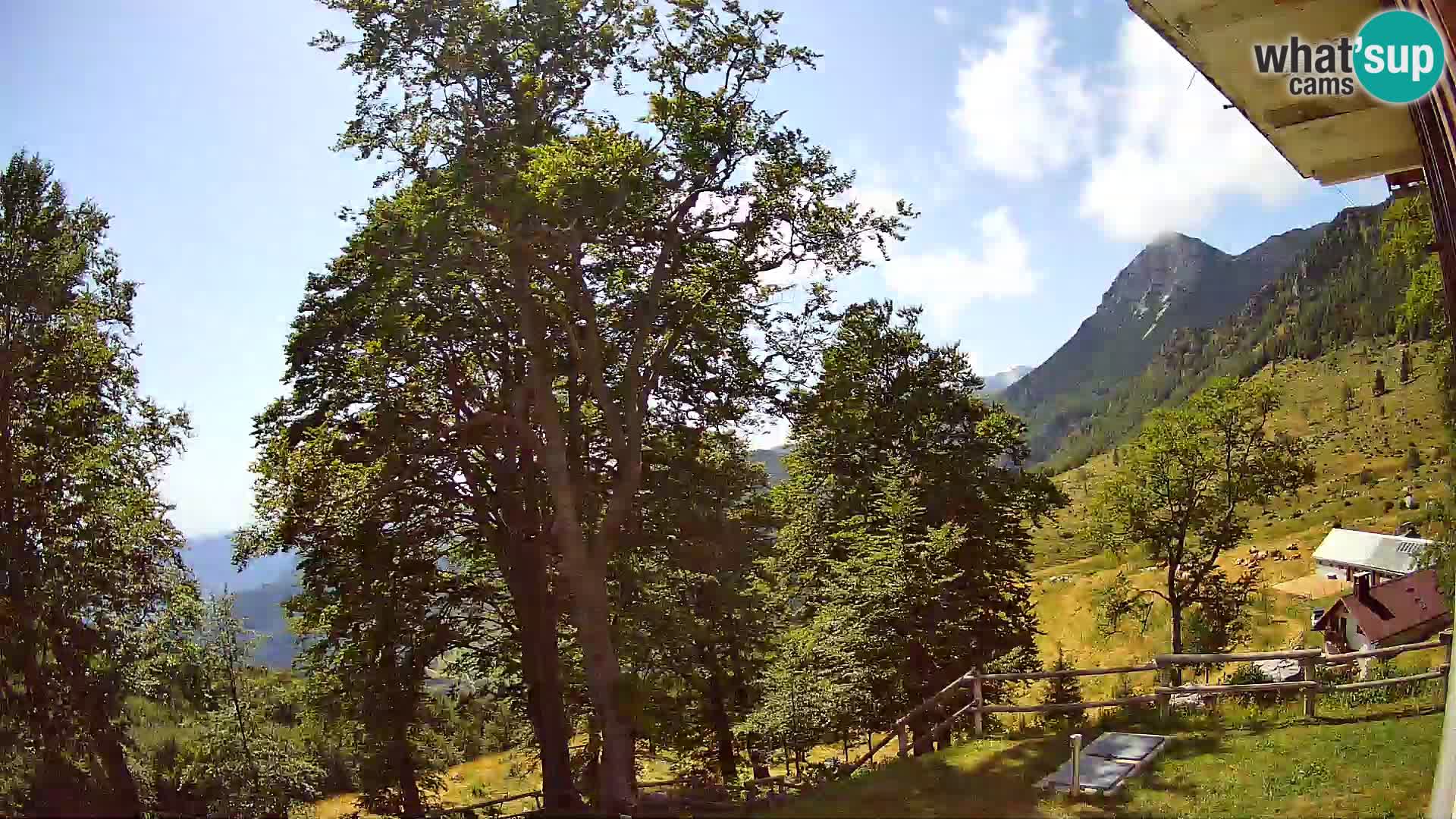 Baita di montagna Planina Razor webcam (1315) | vista su Tolminski Migovec