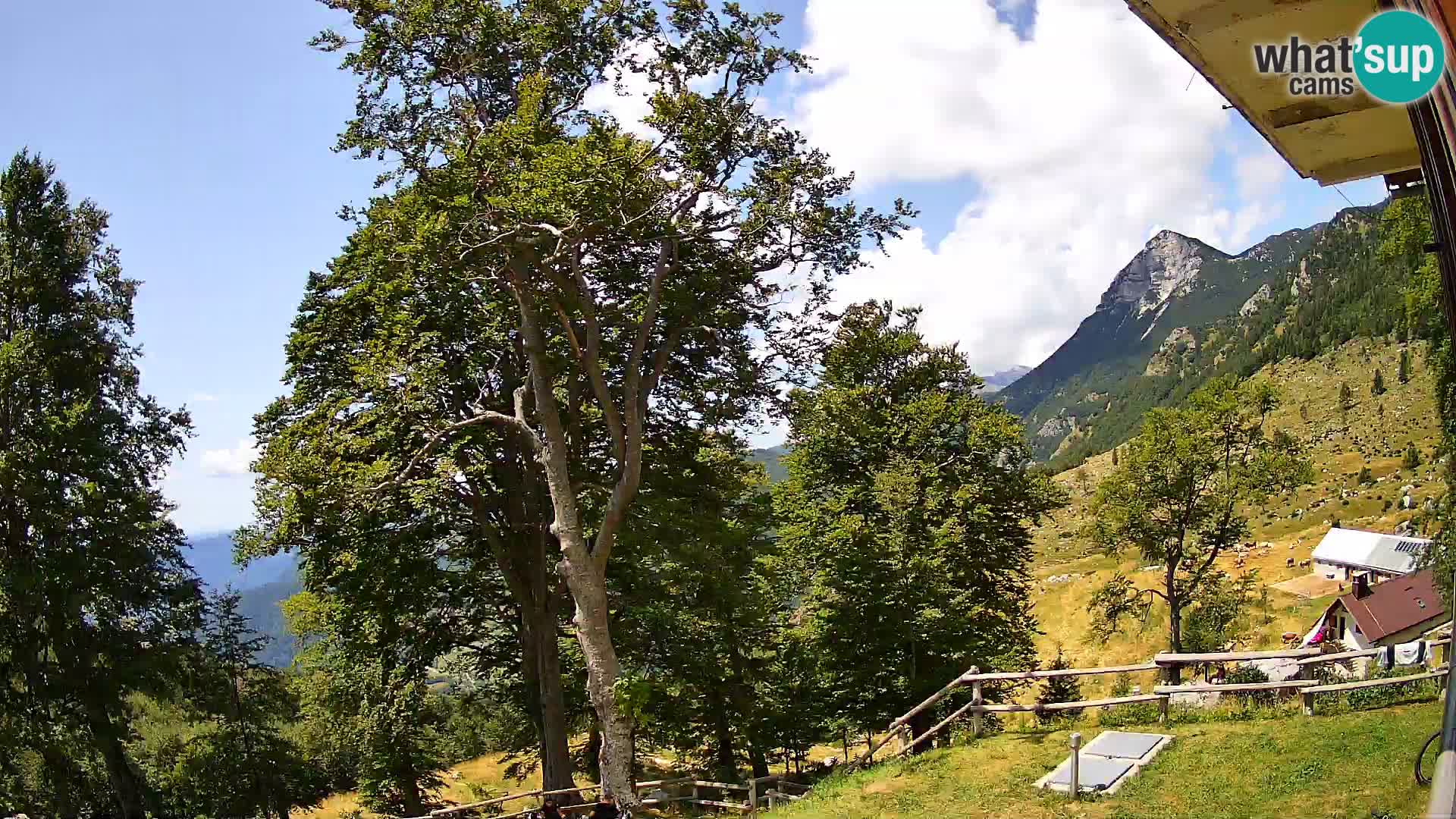 Baita di montagna Planina Razor webcam (1315) | vista su Tolminski Migovec