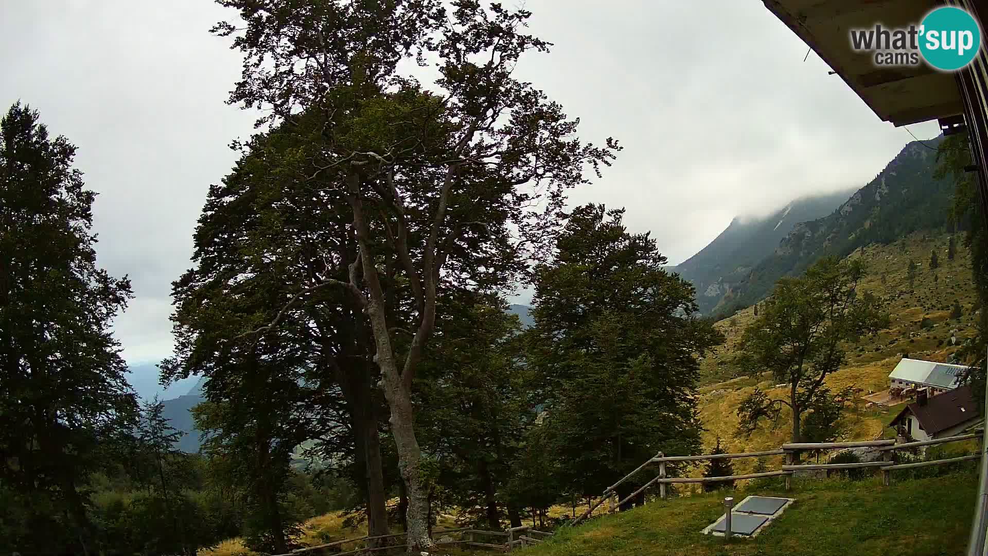 Baita di montagna Planina Razor webcam (1315) | vista su Tolminski Migovec