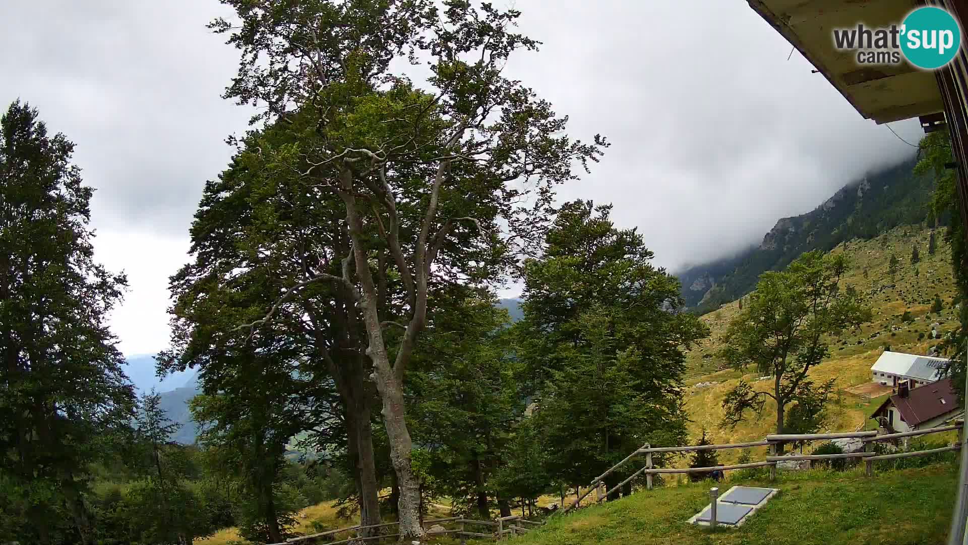Planina Razor Bergütte Webcam (1315) | Blick auf Tolminski Migovec