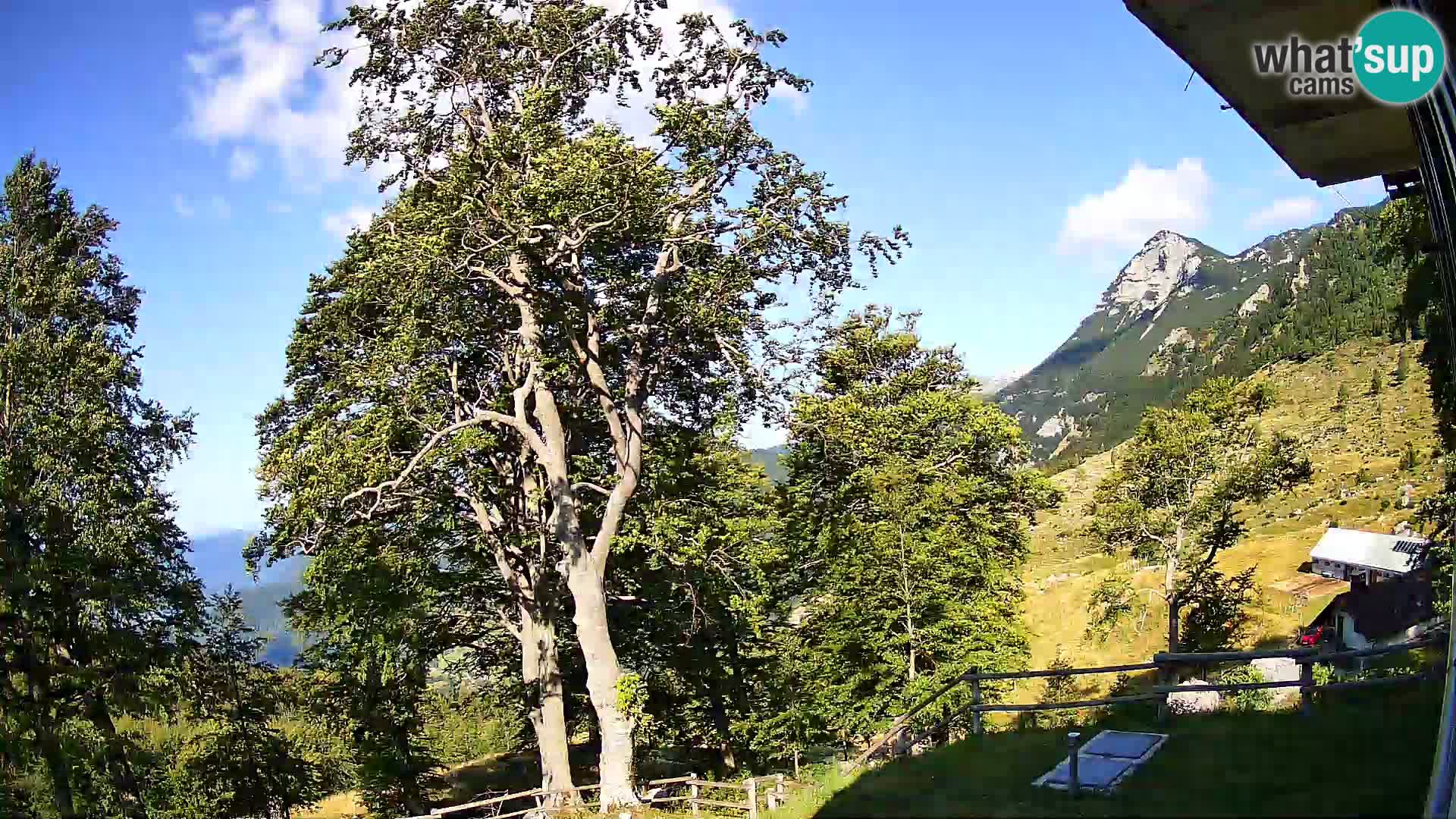 Baita di montagna Planina Razor webcam (1315) | vista su Tolminski Migovec