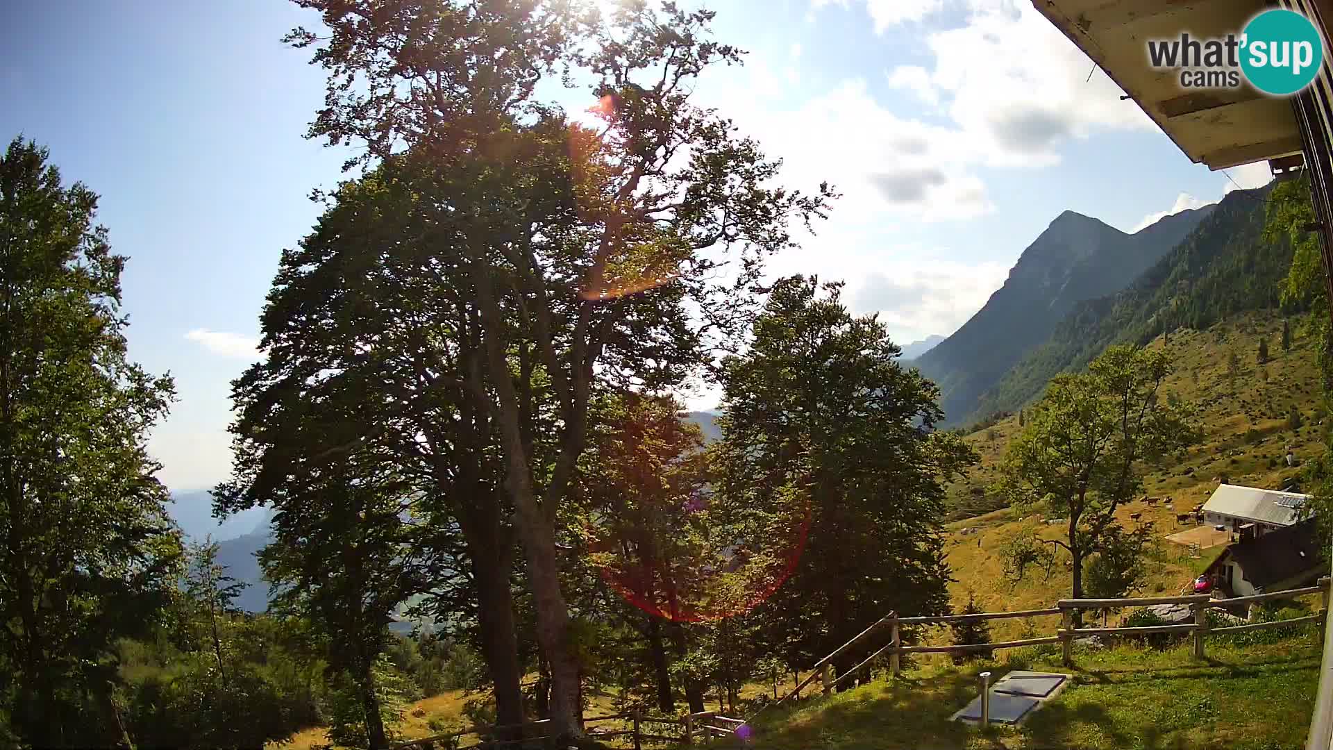 Planina Razor Bergütte Webcam (1315) | Blick auf Tolminski Migovec