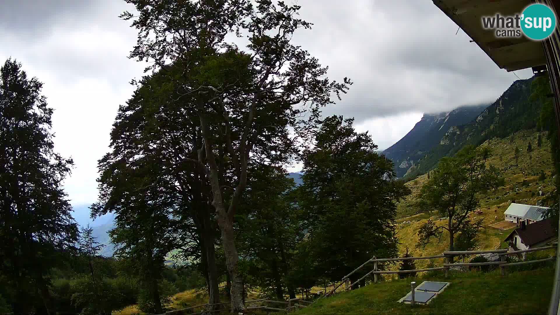 Cámara en vivo de la cabaña de montaña Planina Razor (1315) | vista hacia Tolminski Migovec