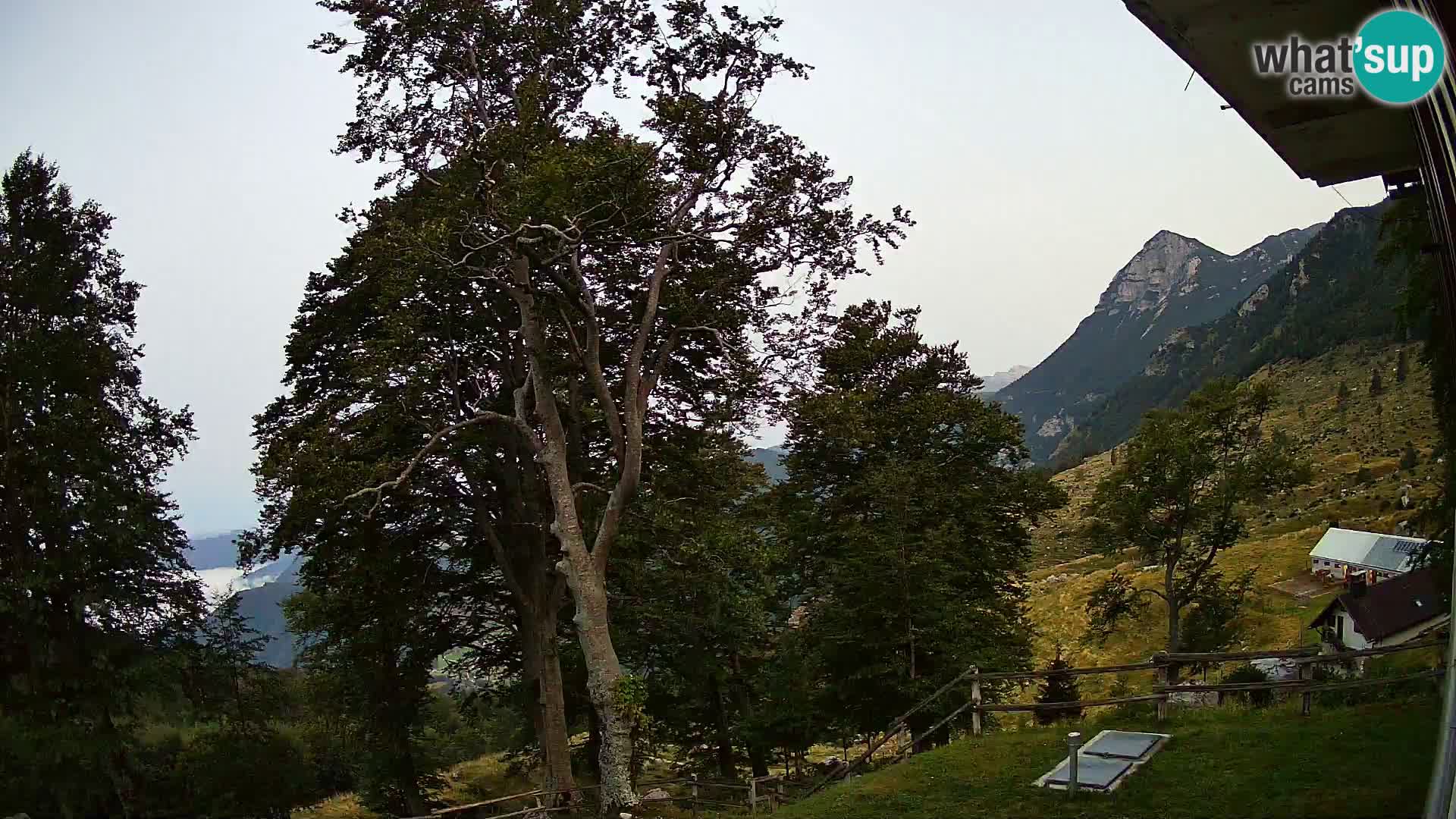 Planina Razor Bergütte Webcam (1315) | Blick auf Tolminski Migovec