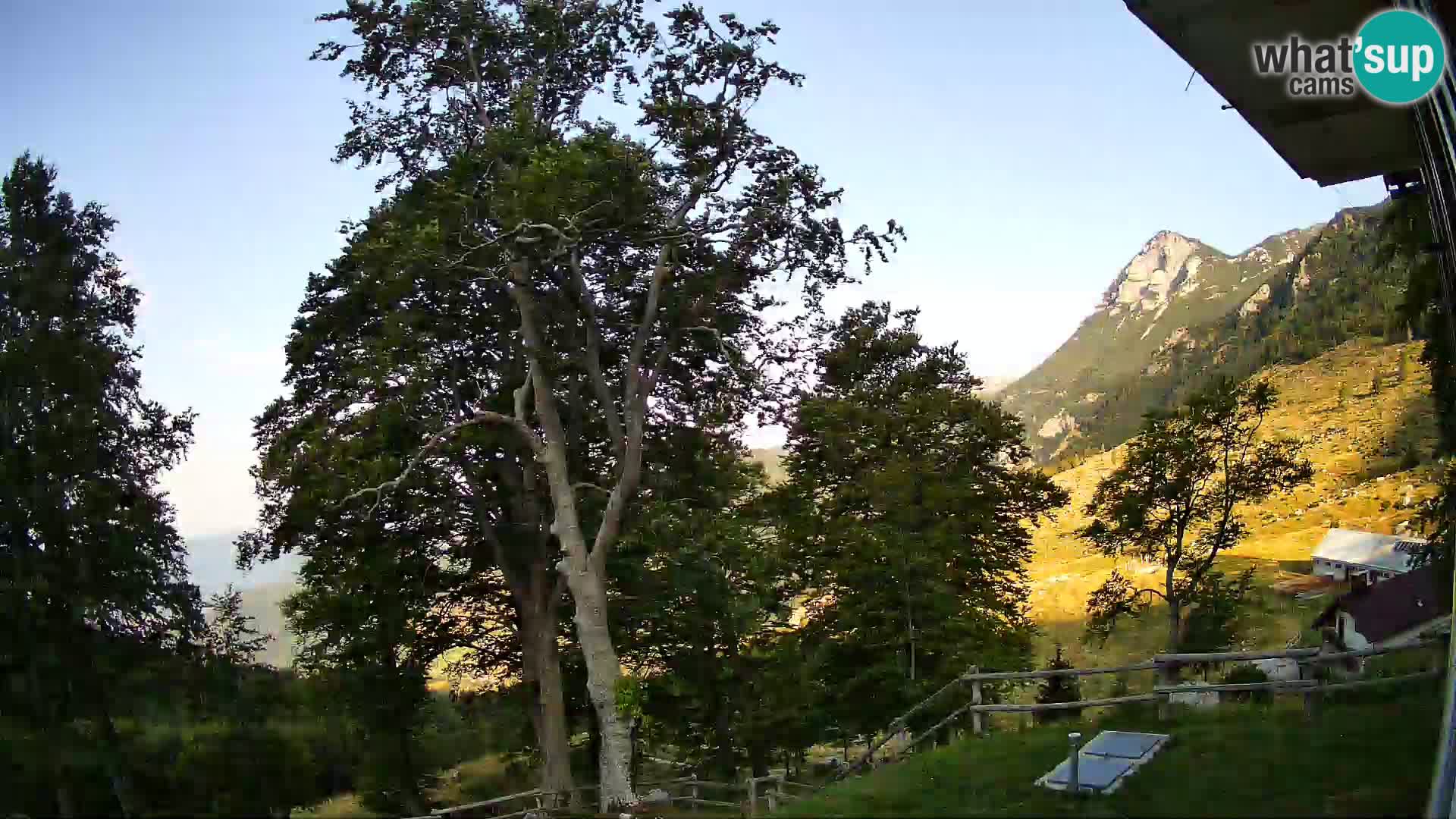 Planina Razor Bergütte Webcam (1315) | Blick auf Tolminski Migovec