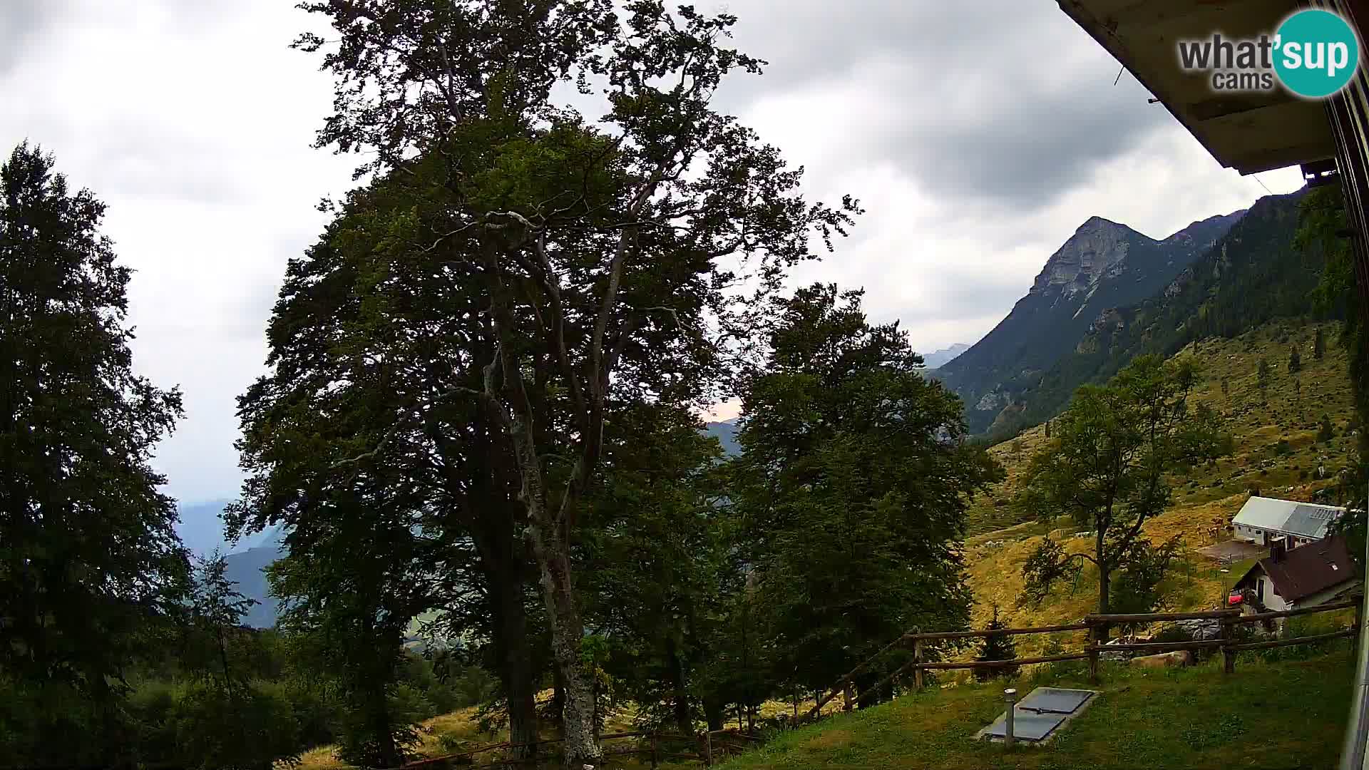 Refuge de la montagne Planina Razor caméra en direct (1315) | vue sur Tolminski Migovec