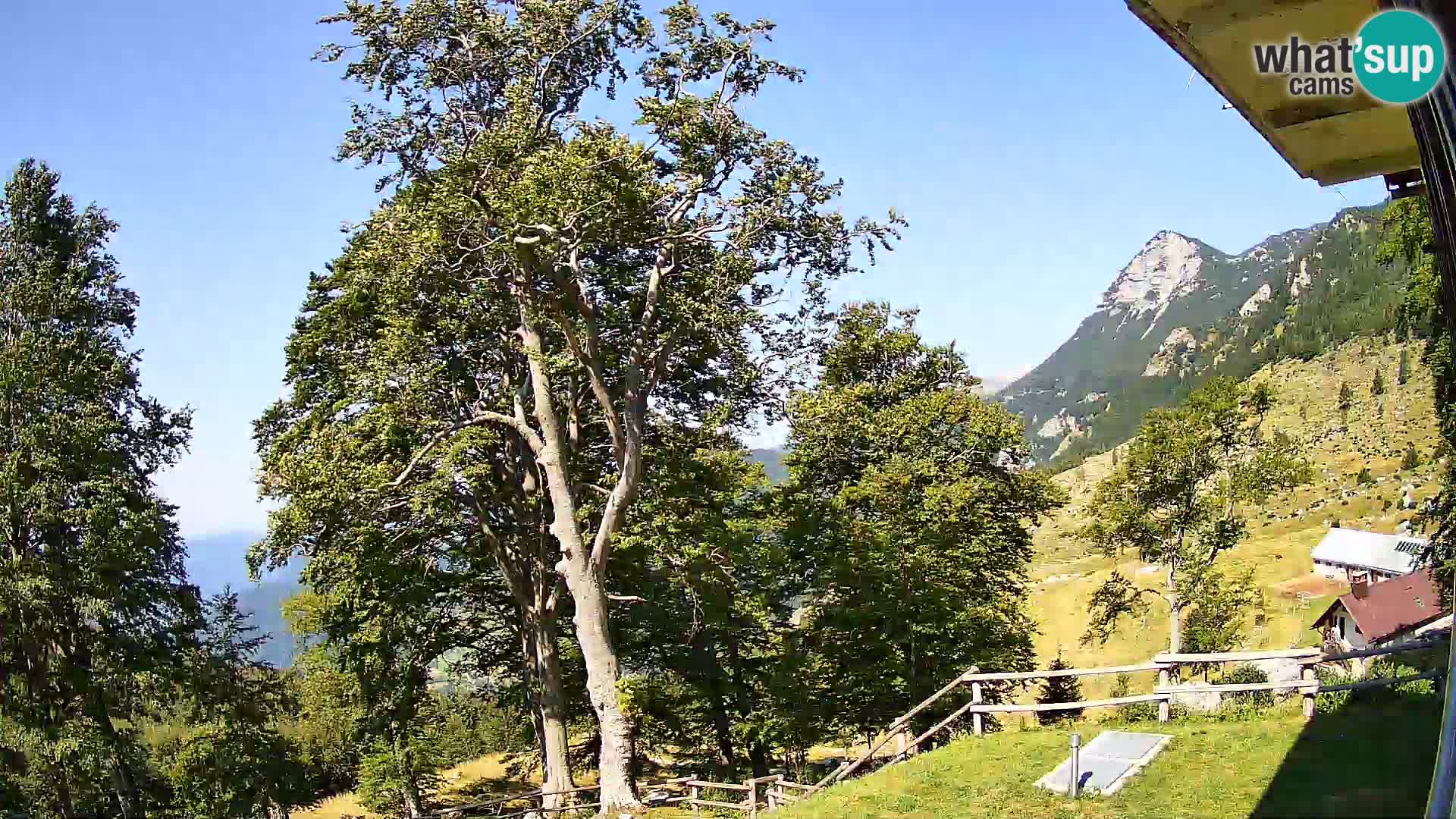Planina Razor Bergütte Webcam (1315) | Blick auf Tolminski Migovec