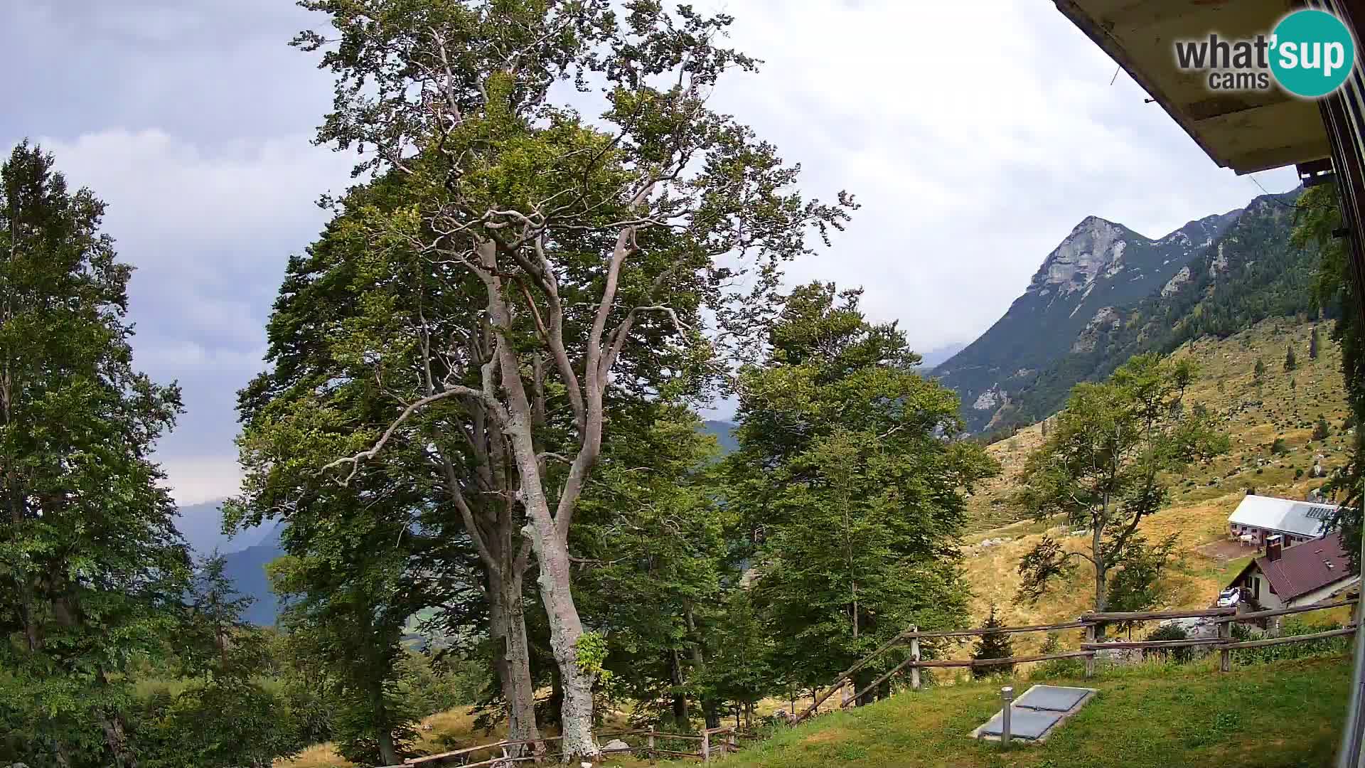 Planina Razor Bergütte Webcam (1315) | Blick auf Tolminski Migovec