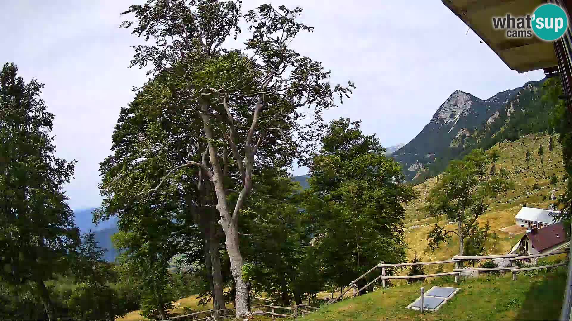 Planina Razor Mountain Hut live cam (1315) | view to Tolminski Migovec