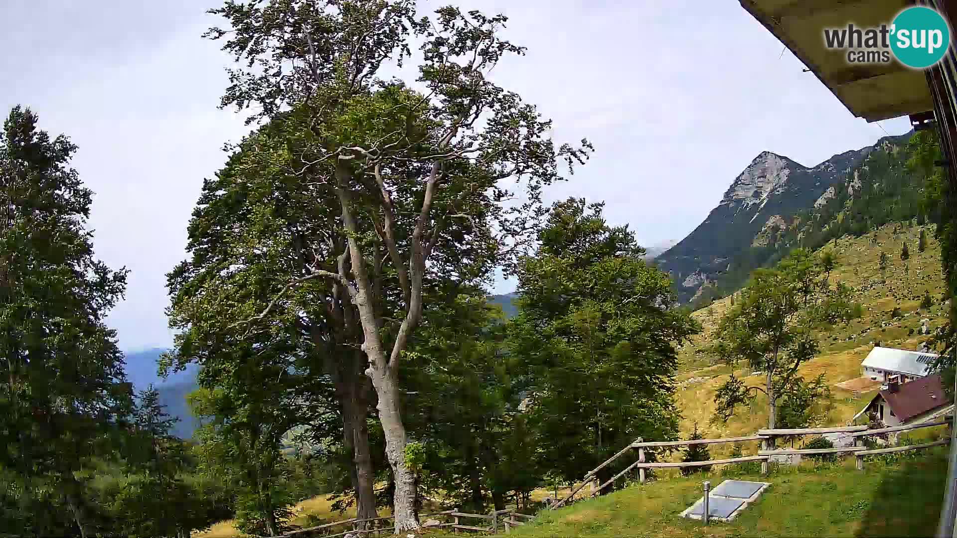 Planinarski dom na planini Razor (1315) | Pogled na Tolminski Migovec