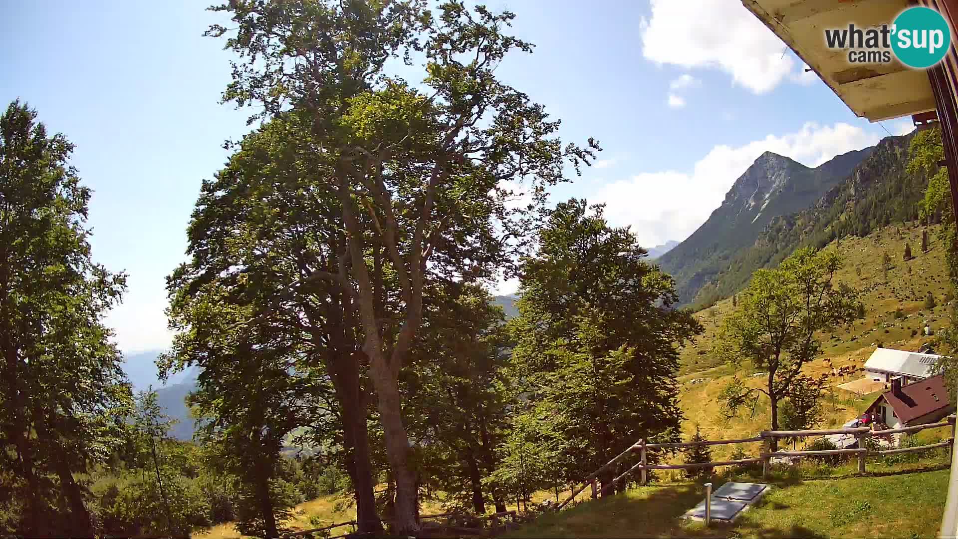 Baita di montagna Planina Razor webcam (1315) | vista su Tolminski Migovec