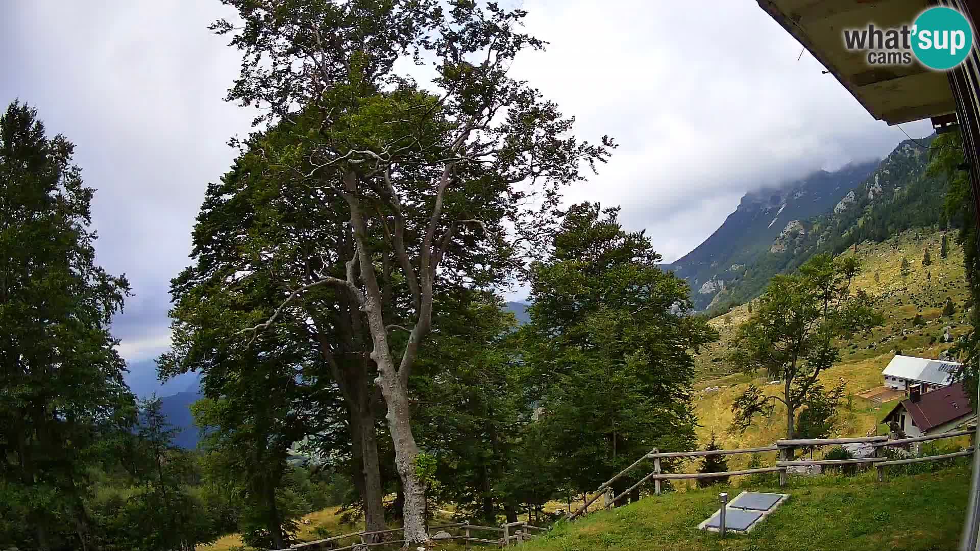 Planina Razor Mountain Hut live cam (1315) | view to Tolminski Migovec