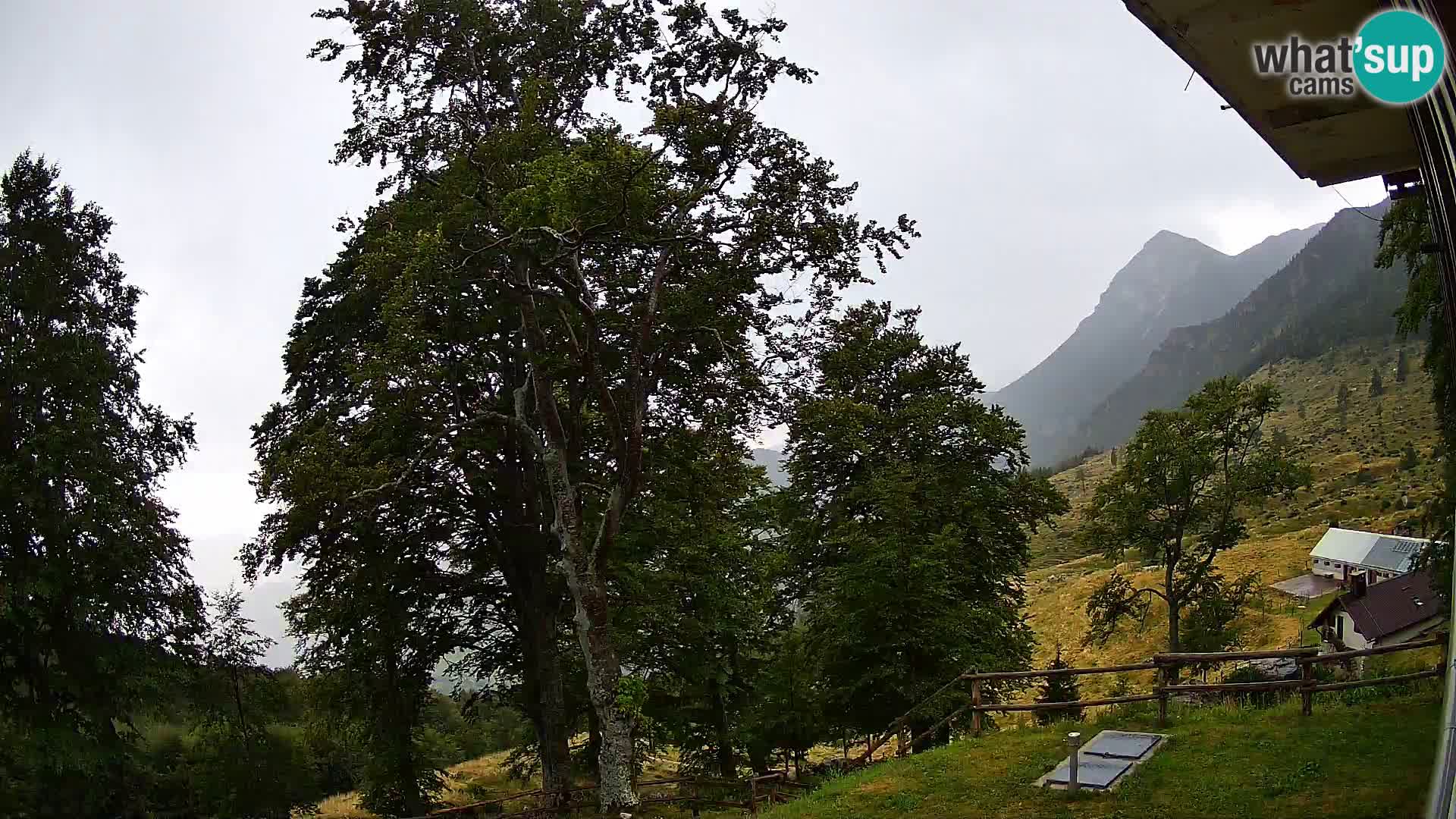 Baita di montagna Planina Razor webcam (1315) | vista su Tolminski Migovec